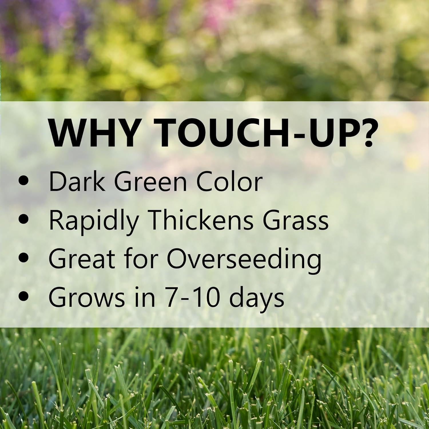 Jonathan Green Touch-Up TRI-RYE Perennial Ryegrass Blend, 25lb