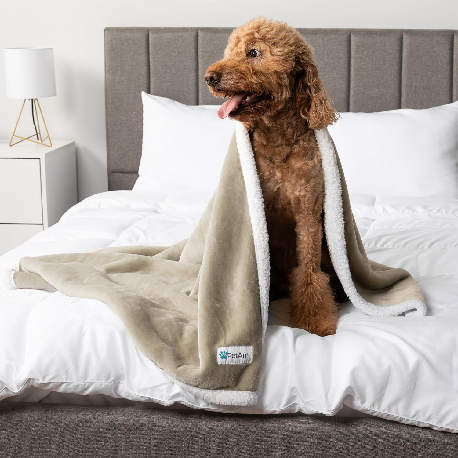 PetAmi Outdoor Pet Blanket
