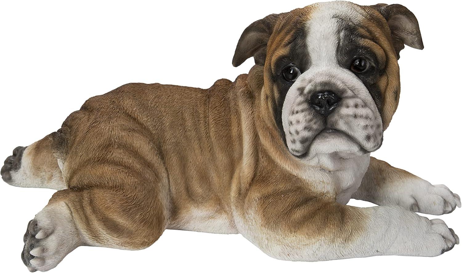 Lying Bulldog Pup