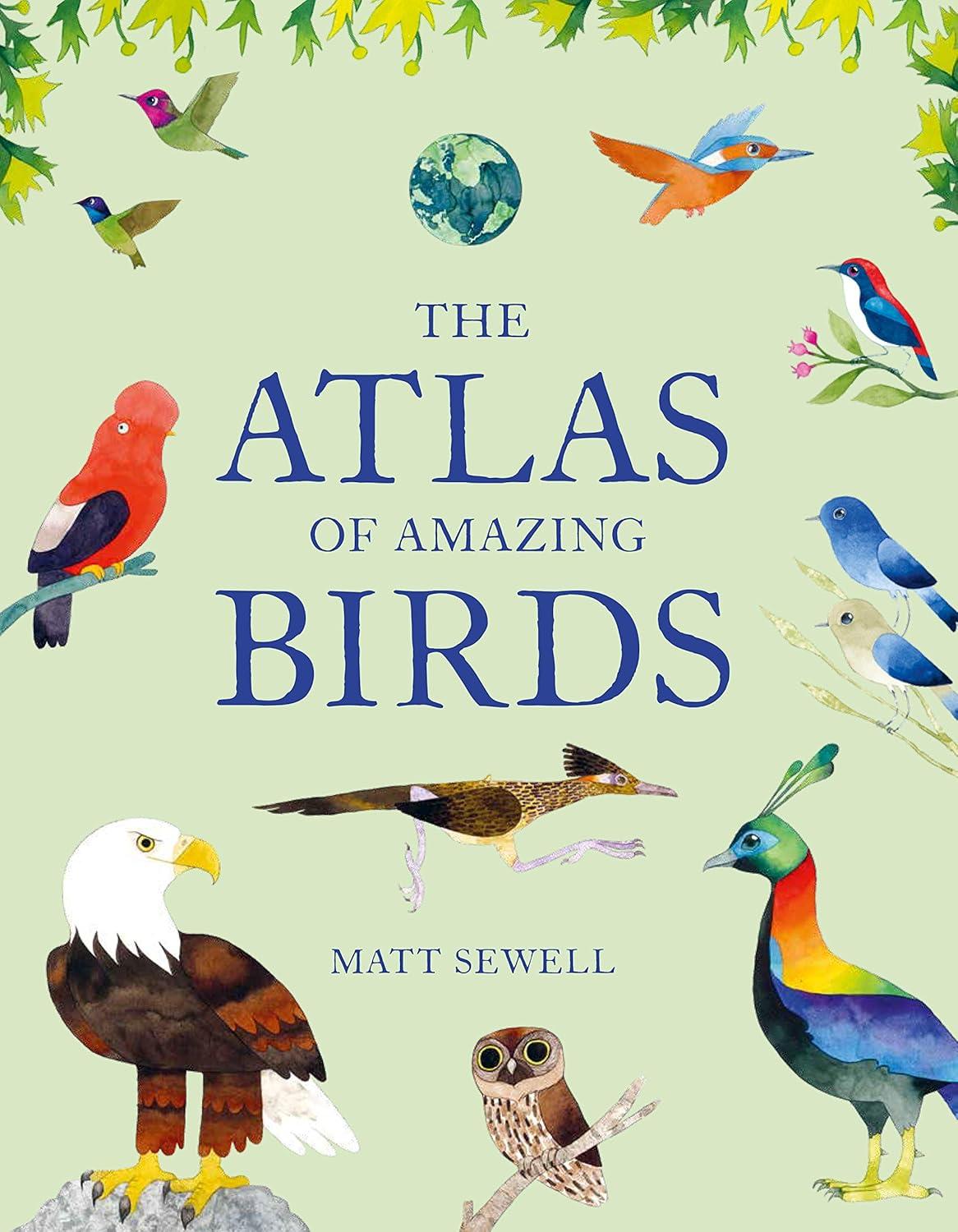 Atlas of Amazing Birds - by  Matt Sewell (Hardcover)