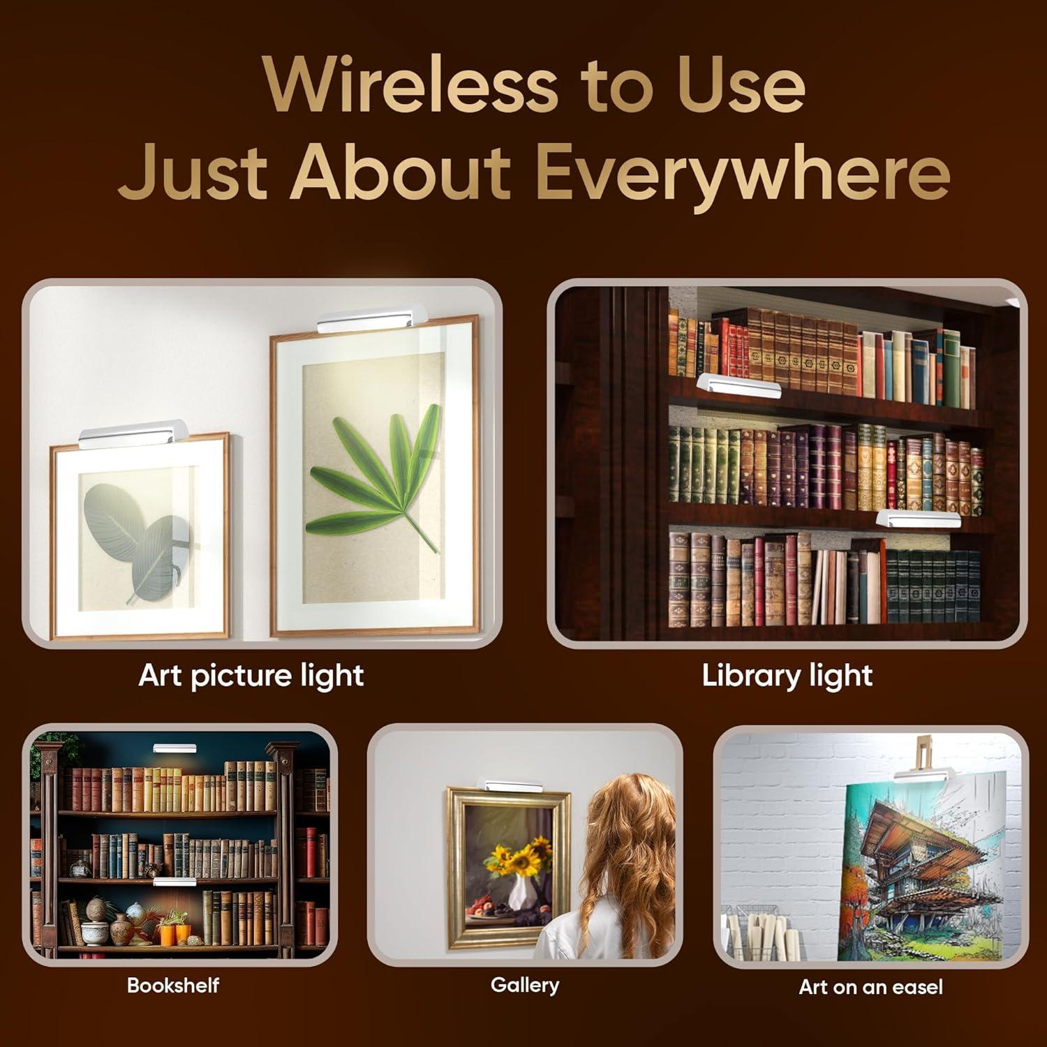Concept Lighting Concept Cordless Battery Powered LED Picture Light