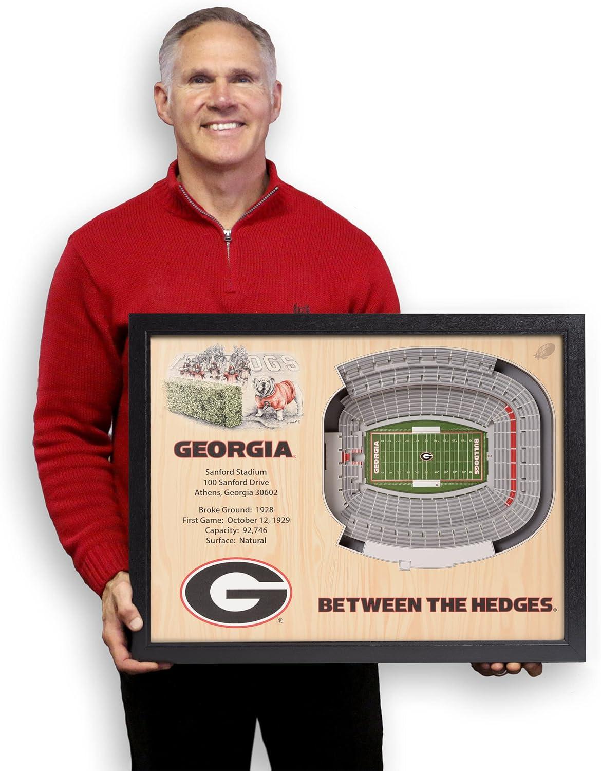NCAA Georgia Bulldogs 25-Layer StadiumViews 3D Wall Art