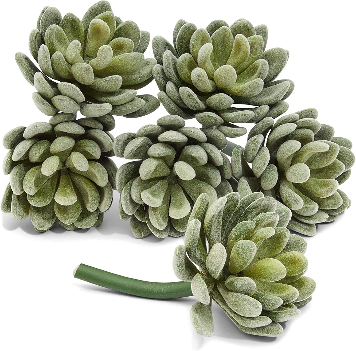 Set of 6 Green Faux Echeveria Succulent Picks