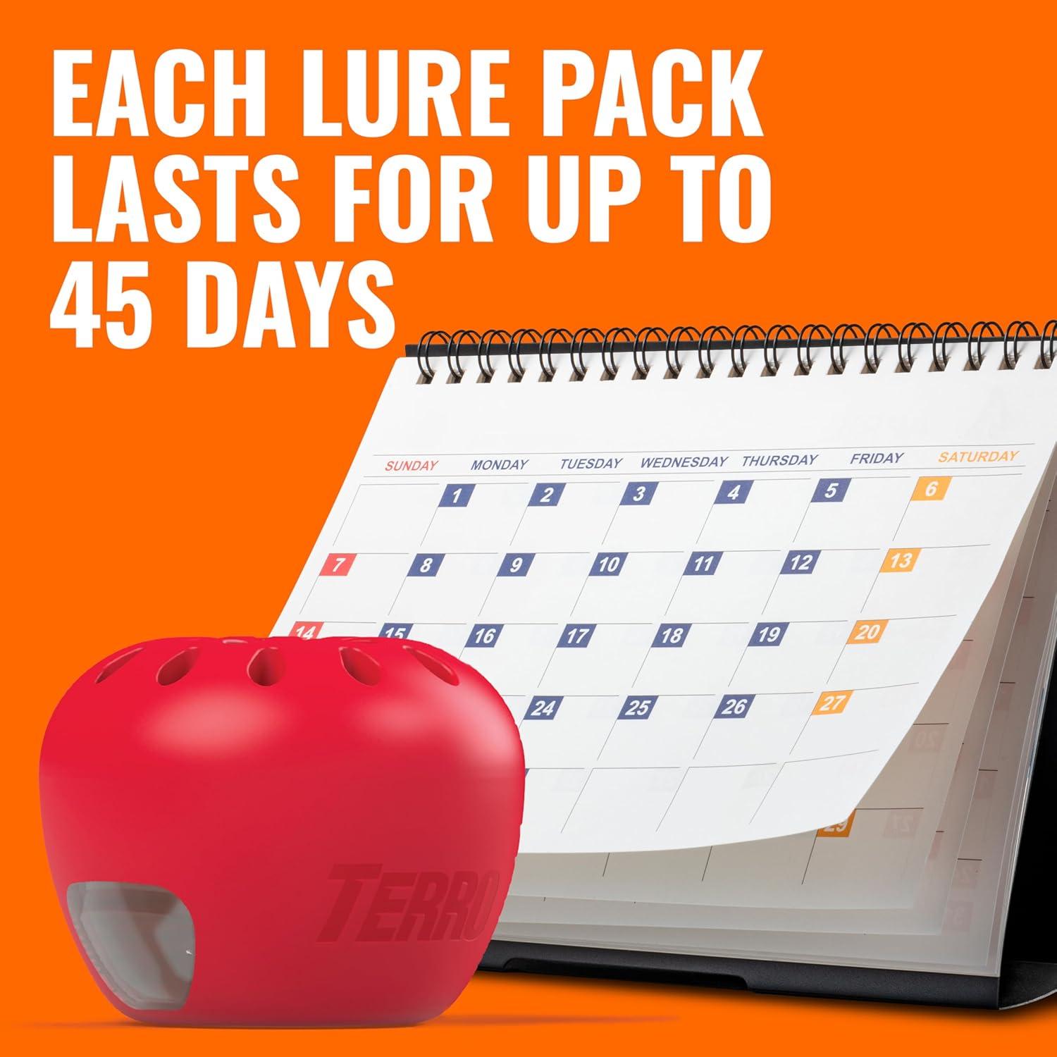 Terro Fruit Fly Trap, 6 Pack