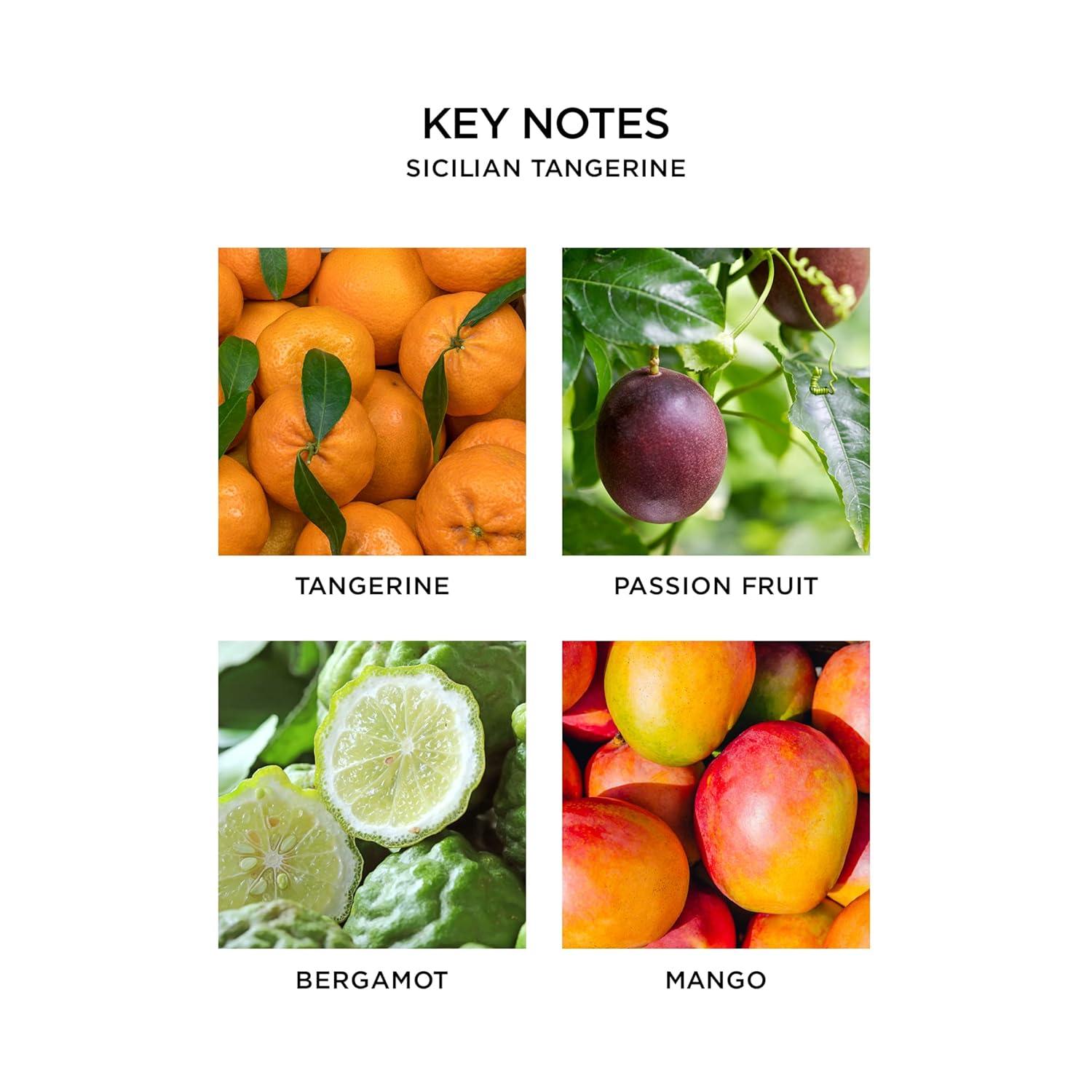 Nest Fragrances Sicilian Tangerine Votive Candle