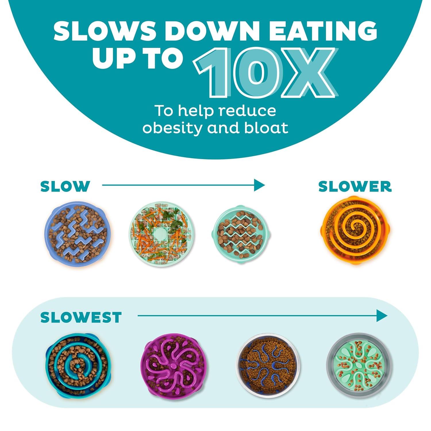 Outward Hound Outward Hound Fun Feeder Slow Bowl, Slow Feeder Dog Bowl