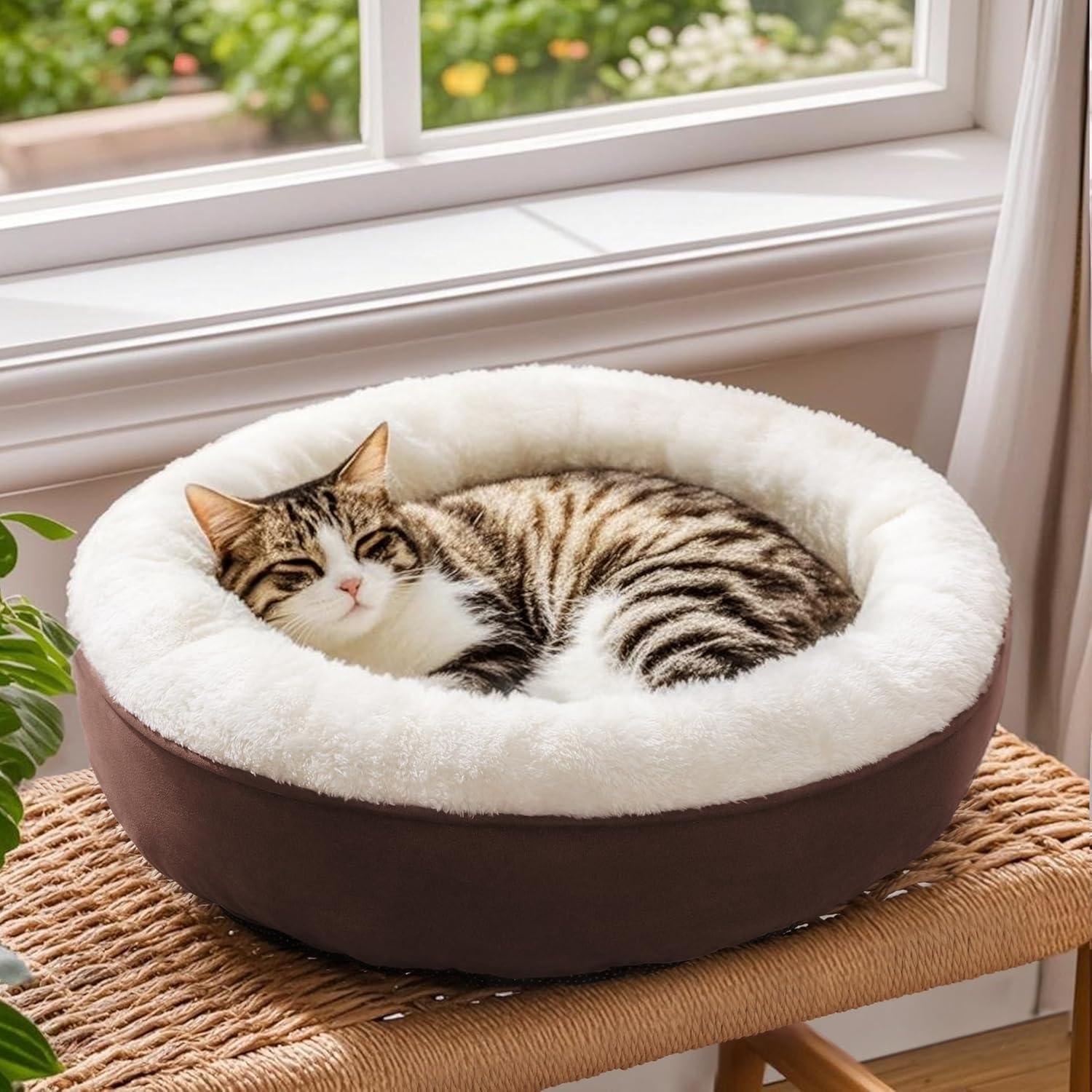Archie & Oscar™ Round Donut Cat And Dog Cushion Bed, 20In Pet Bed For Cats Or Small Dogs, Anti-Slip & Water-Resistant Bottom, Super Soft Durable Fabric Pet Beds, Washable Luxury Cat & Dog Bed