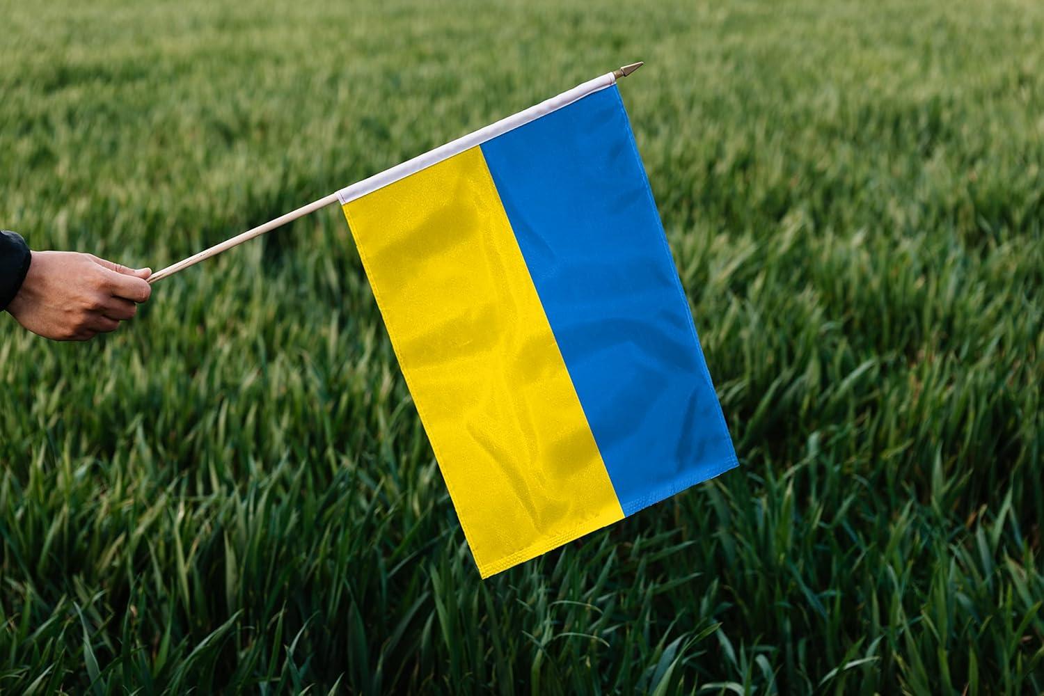 Ukraine 12" x 18" Mounted Stick Flag