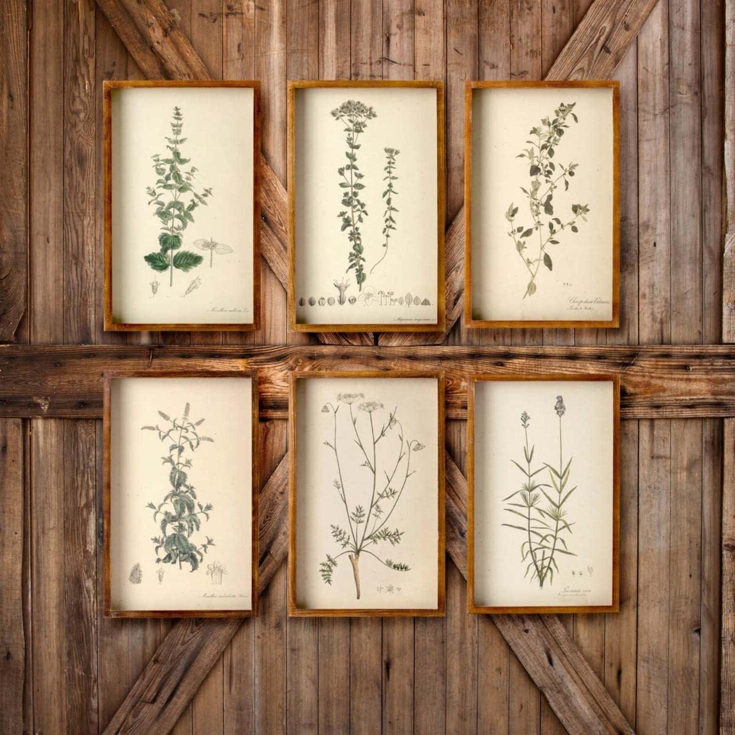 Rustic Natural Wood Framed Botanical Prints Set of 6