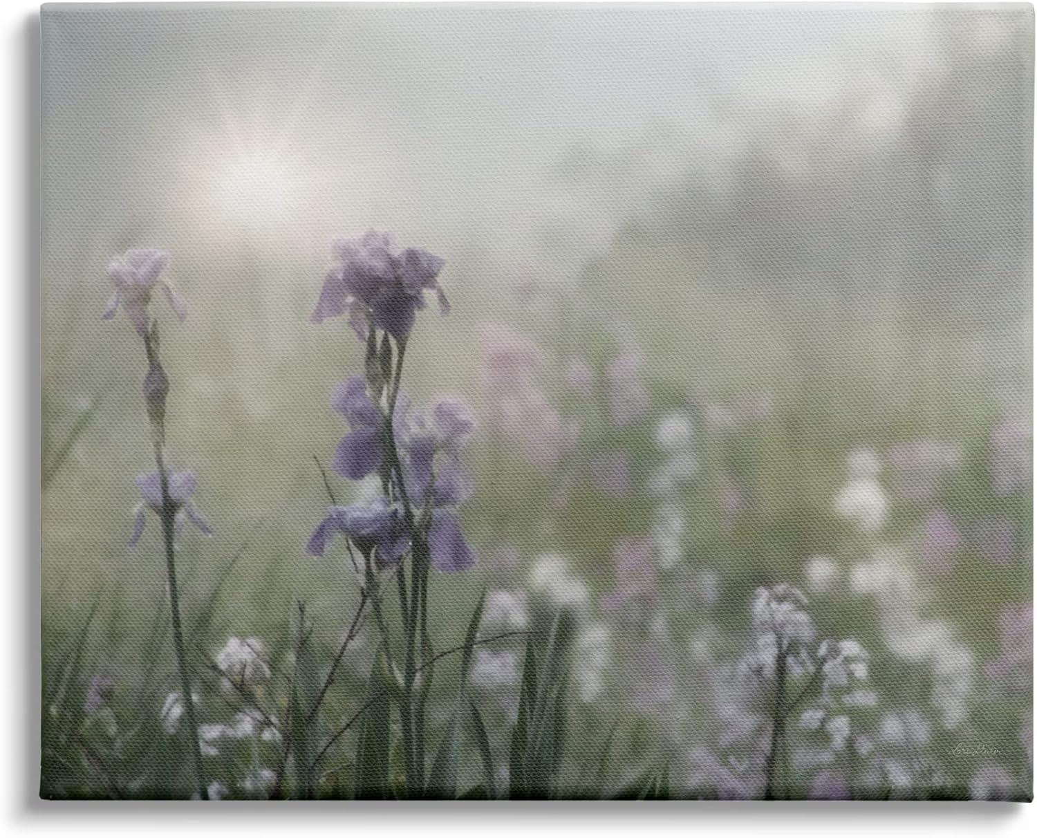 Morning Violet Field Blooming Canvas Print, 20 x 16