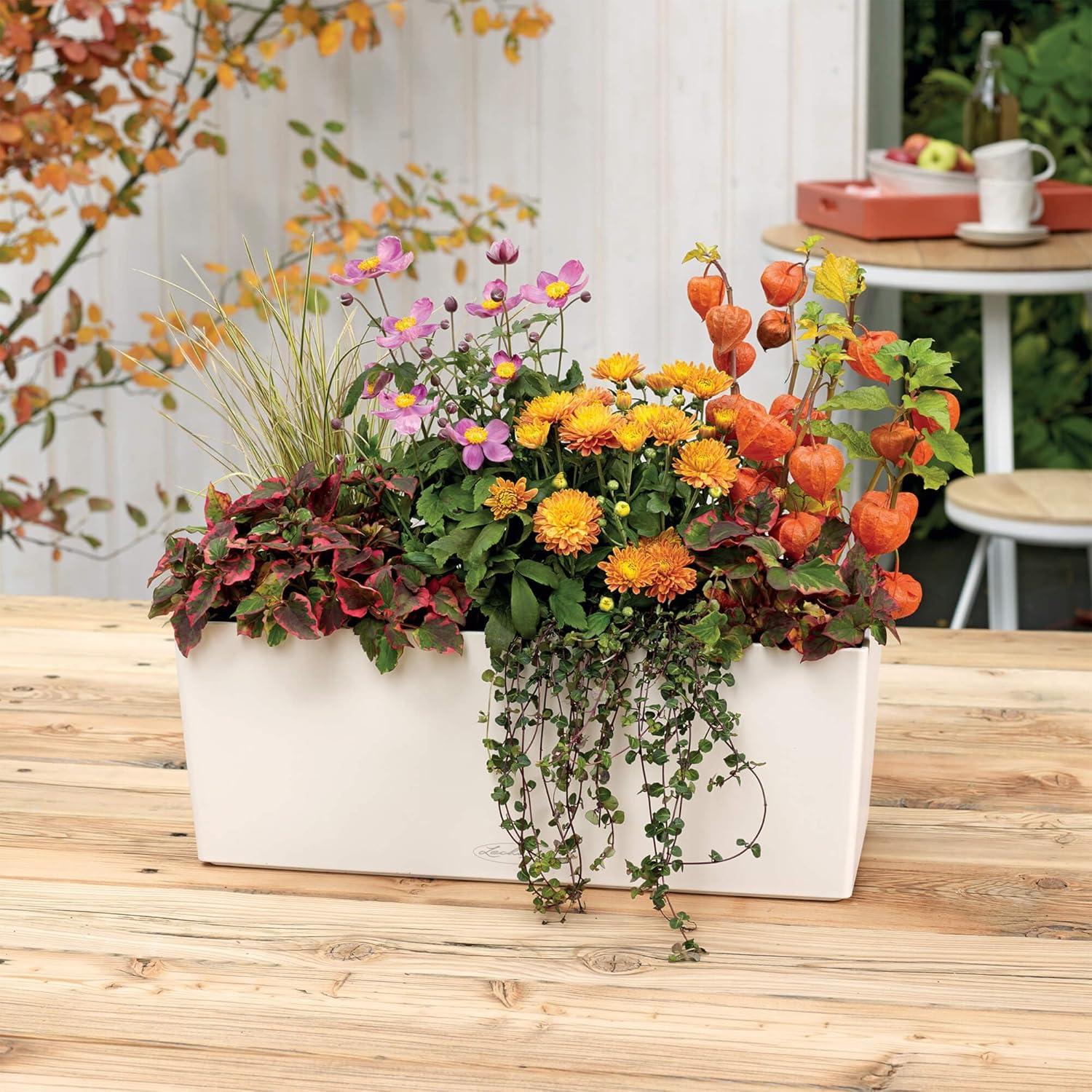 Sleek Matte White Rectangular Self-Watering Planter - 20"W