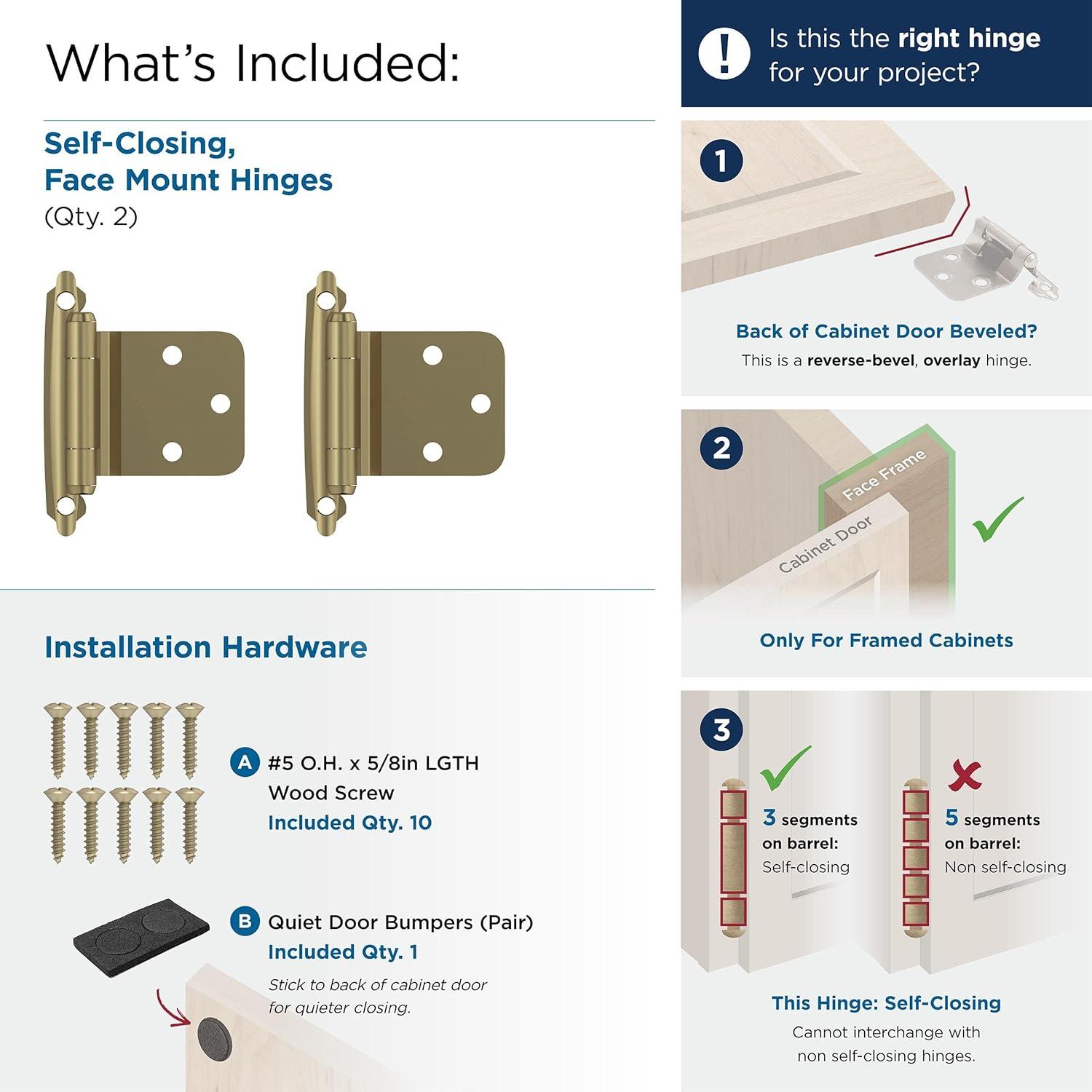 30° Reverse Bevel Overlay Hinge