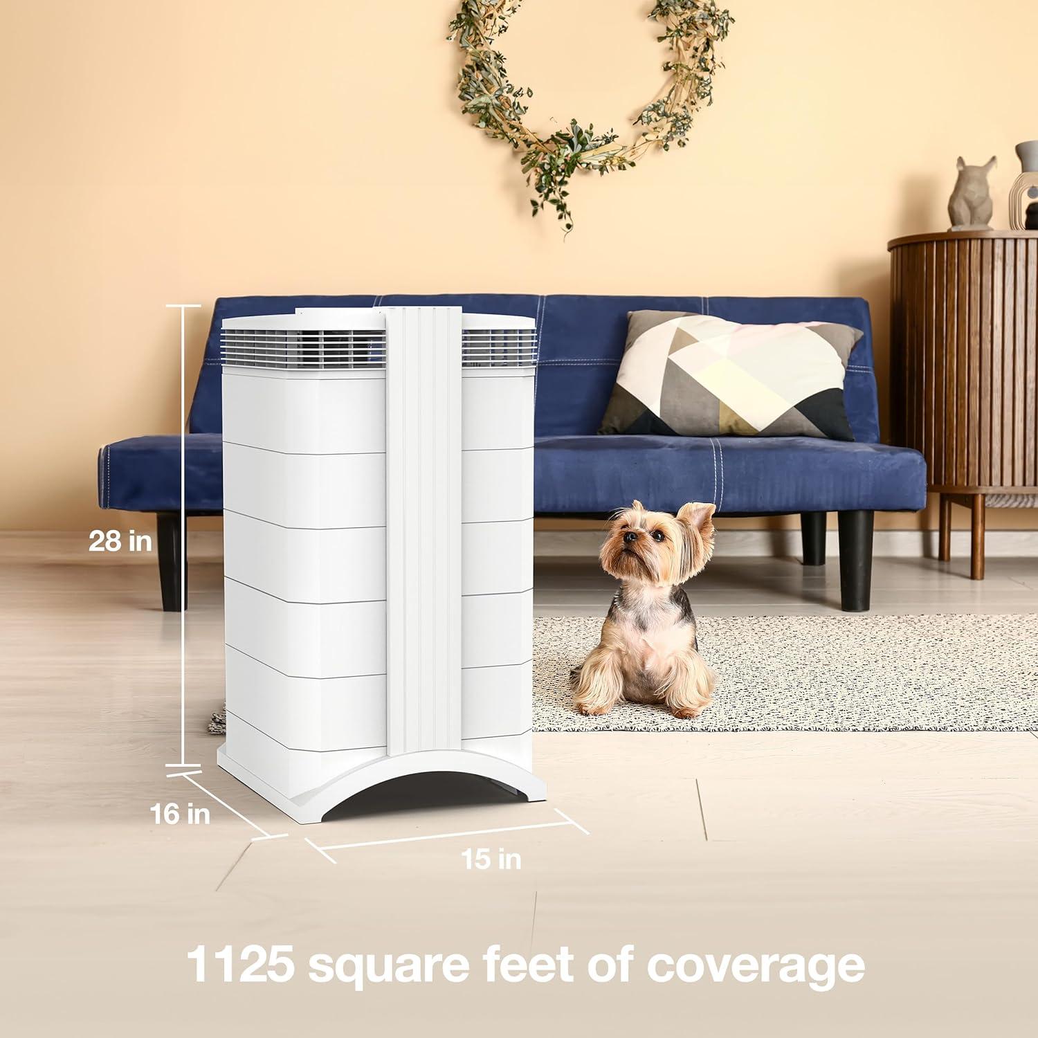 IQAir HealthPro Plus XE Air Purifier - Smart HyperHEPA Filtration for Large Rooms up to 1125 sq ft - Viruses, Allergens, Smoke, Mold, Dust, Pet Dander, Swiss Made, WiFi Enabled