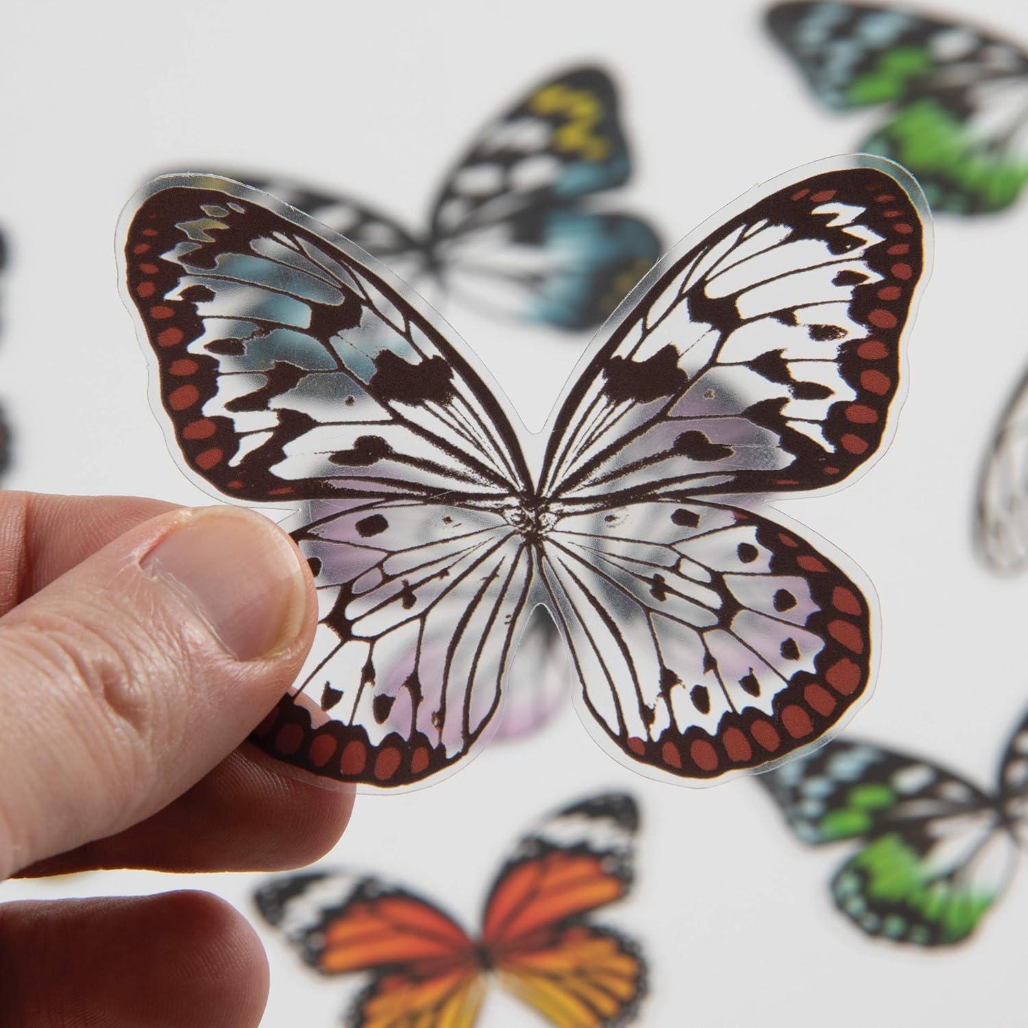 Set of 72 Multicolor Transparent Acetate Butterfly and Dragonfly Wings