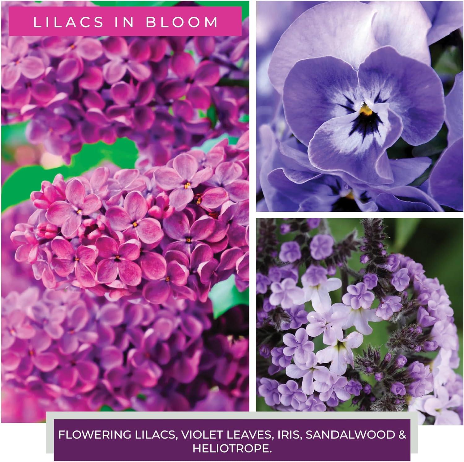 A Cheerful Giver - Lilacs In Bloom Mama Scented Glass Jar Candle (22oz) with Lid & True to Life Fragrance Made in USA