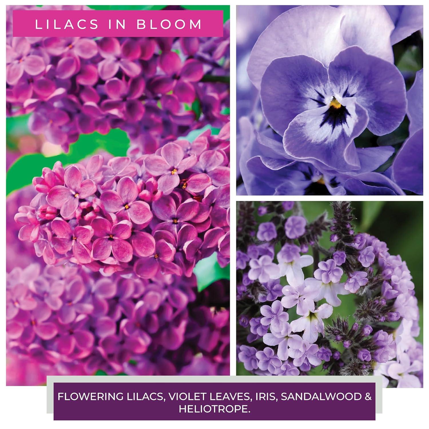 A Cheerful Giver - Lilacs In Bloom Mama Scented Glass Jar Candle (22oz) with Lid & True to Life Fragrance Made in USA