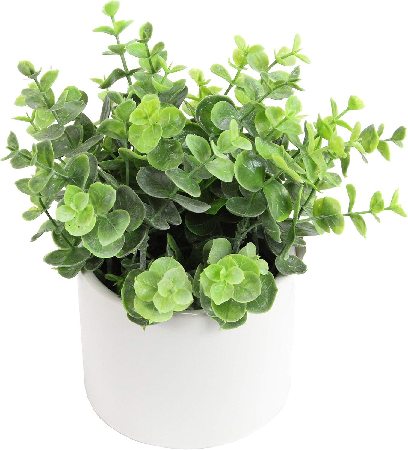 Admired by Nature  Artificial Eucalyptus Plant with Ceramic Pot - Green