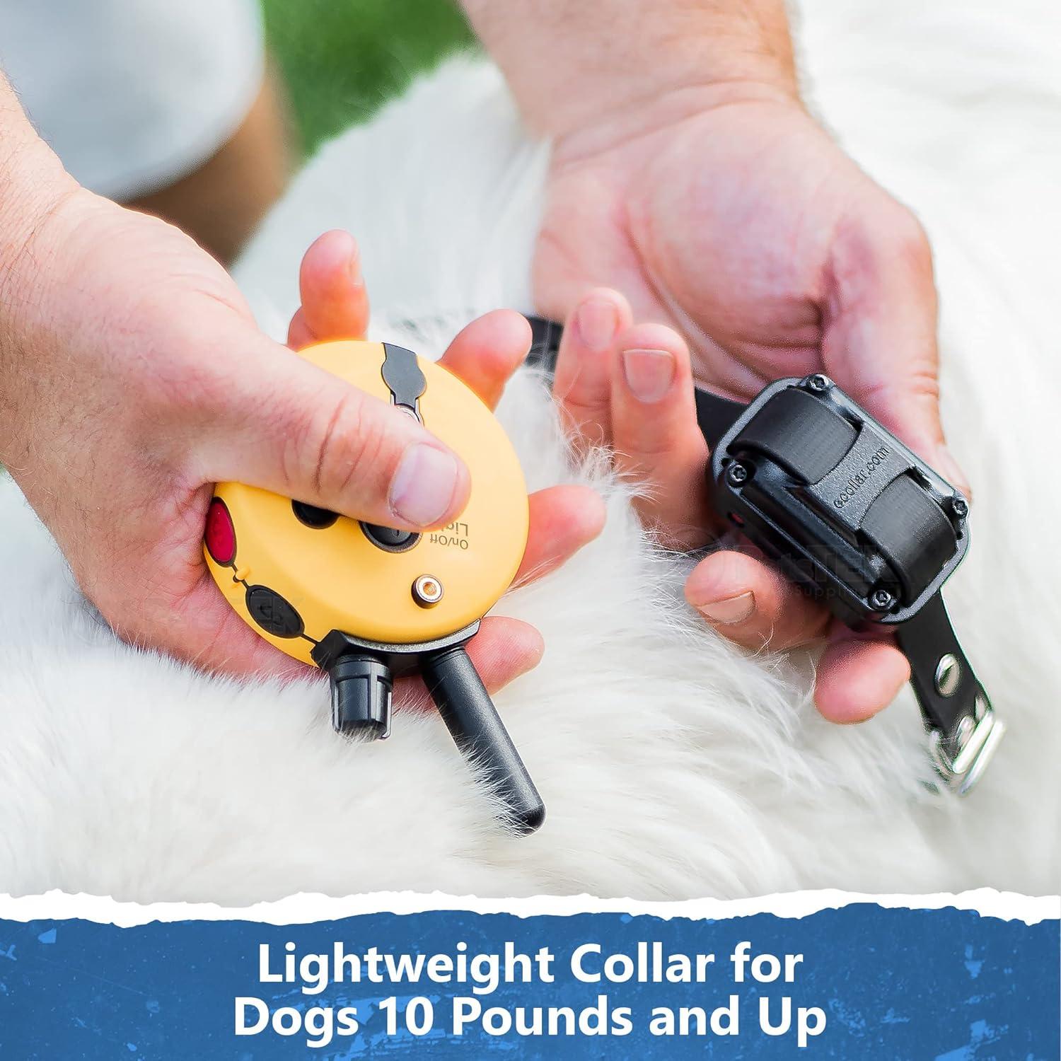E-Collar ET-300 Mini Educator Dog Training Collar Bundle + PetsTEK Dog Clicker – 1/2 Mile Range, Waterproof, 100 Levels with Vibration & Tone