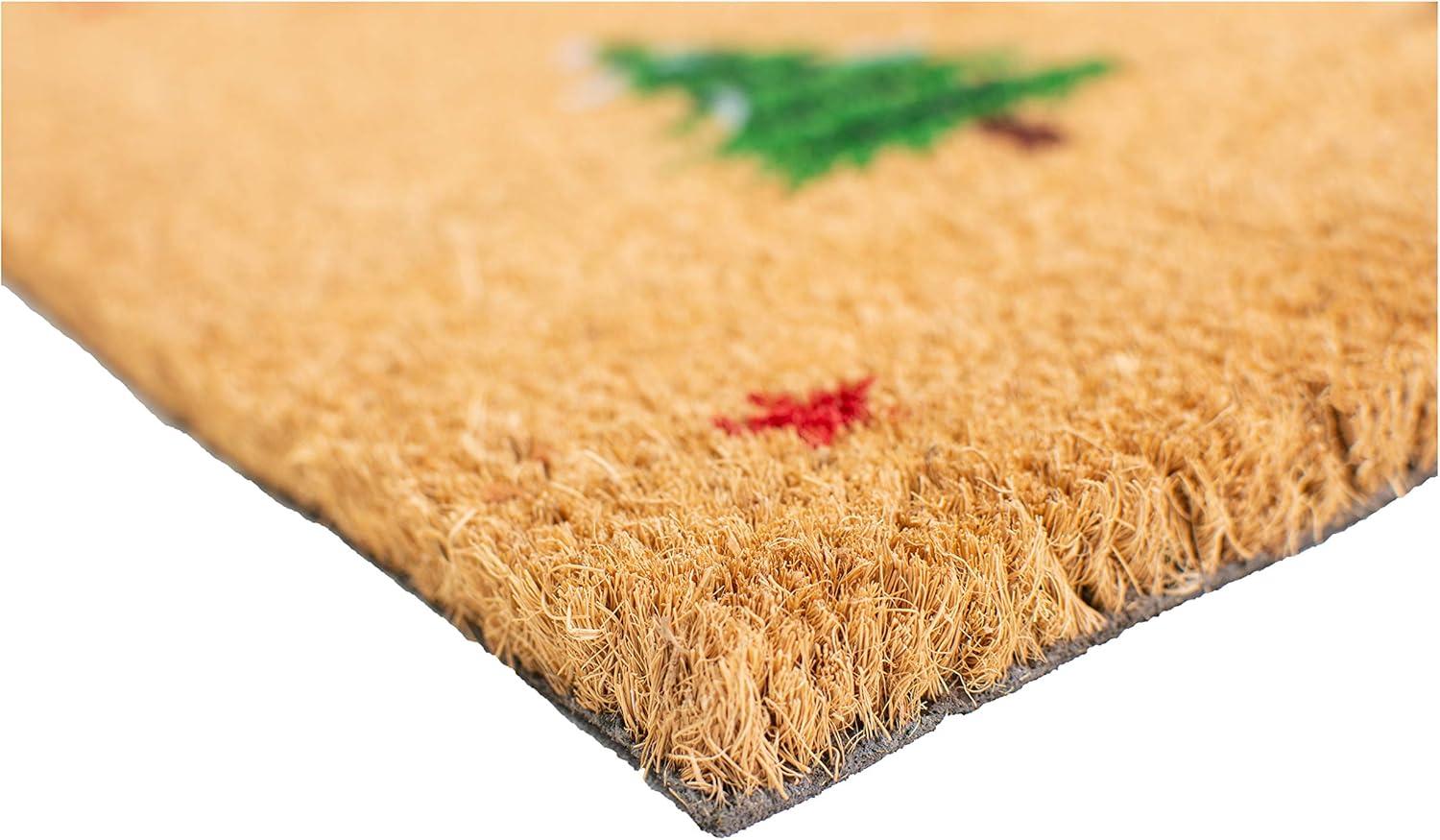 Modern Coir Winter Welcome Outdoor Doormat 29" x 17"