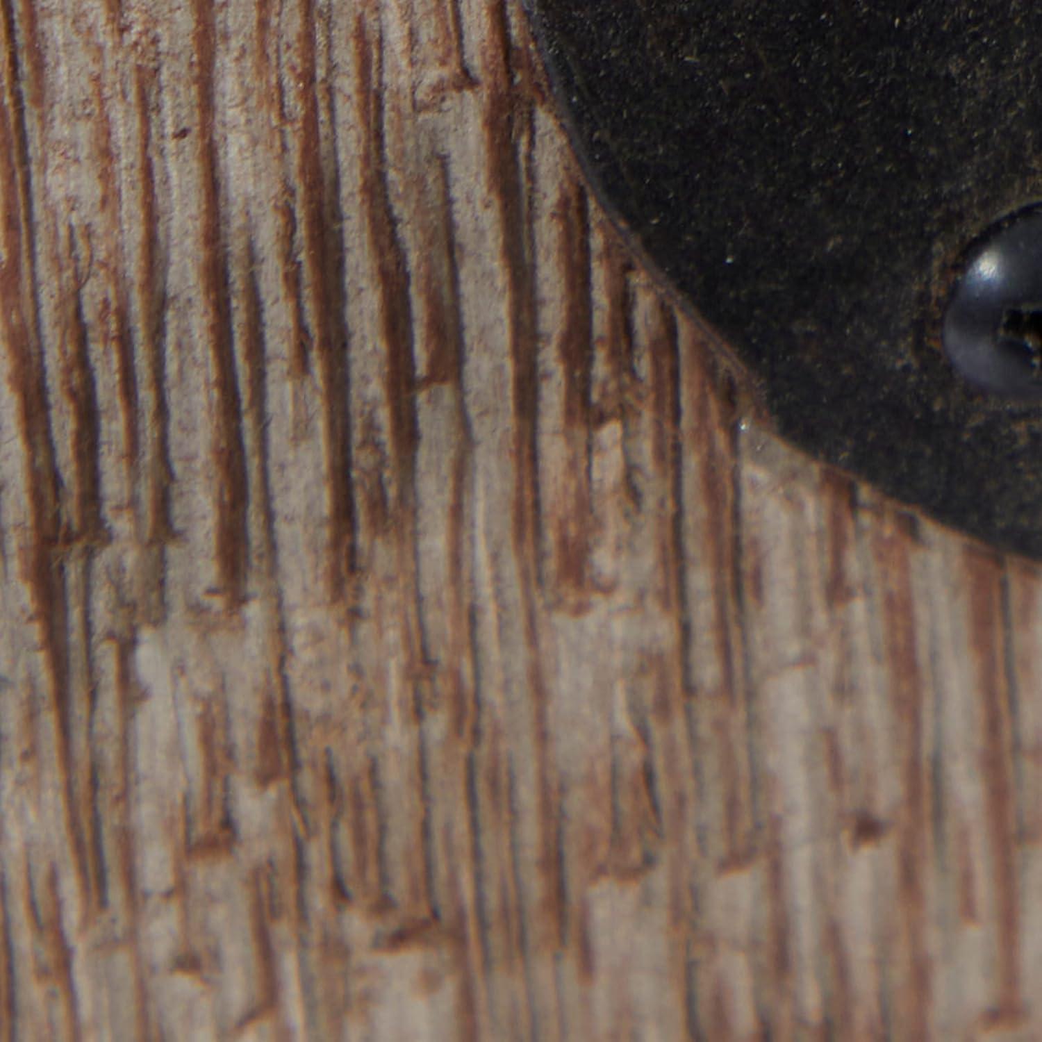 DecMode Industrial Metal Wall Sconce with Wood Backplate and Iron Cage, 6"W x 11"H Features Rustic Brown Finish