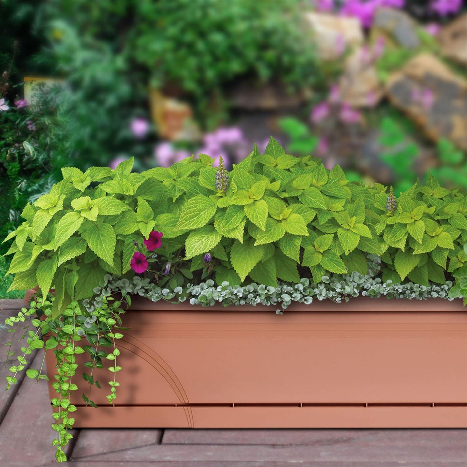 Terracotta Medallion 36" Rectangular Hanging Planter Duo