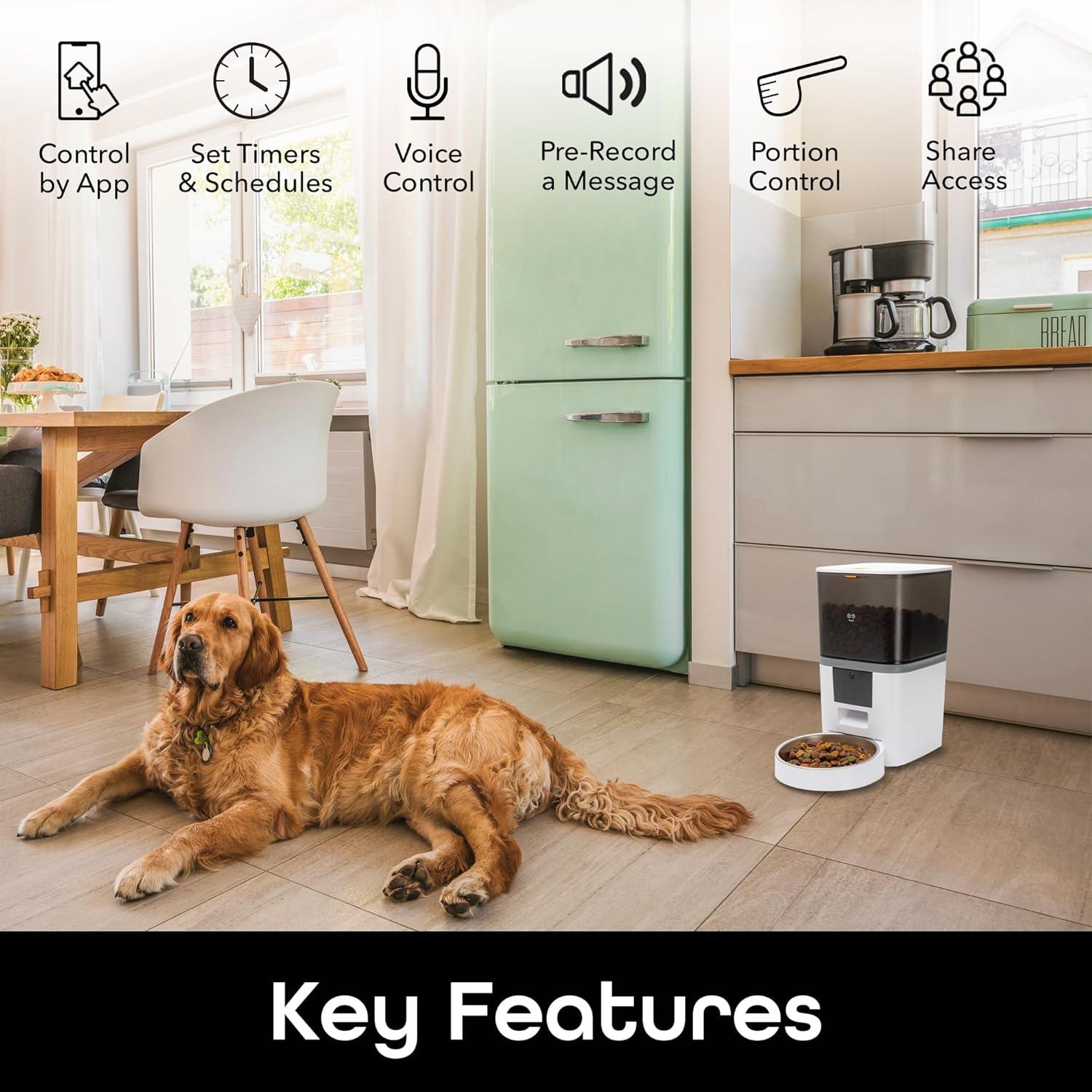 Geeni PetConnect Feeder 6L Smart Pet Feeder