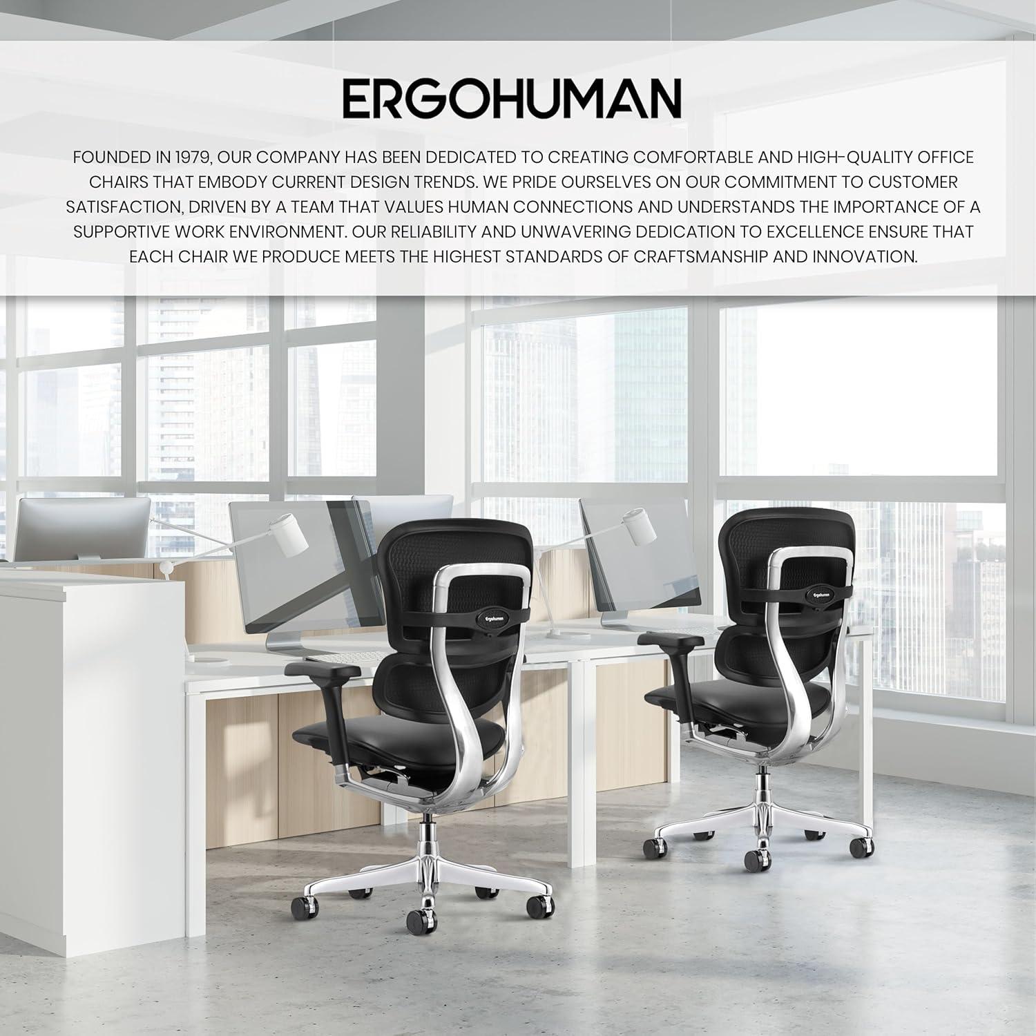 Eurotech Ergohuman Bonded Leather Mid-Back Chair, Black/Chrome