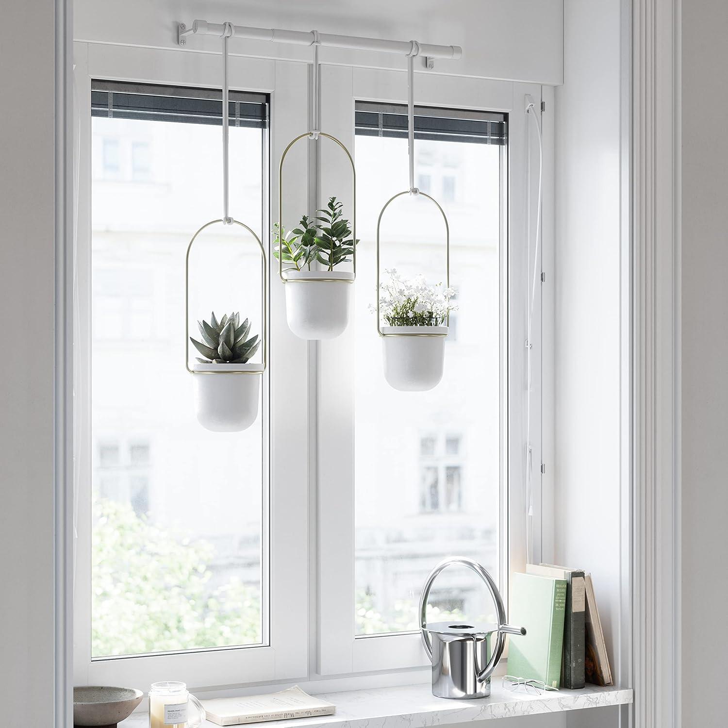 Umbra Triflora 3 Hanging Wall Planter