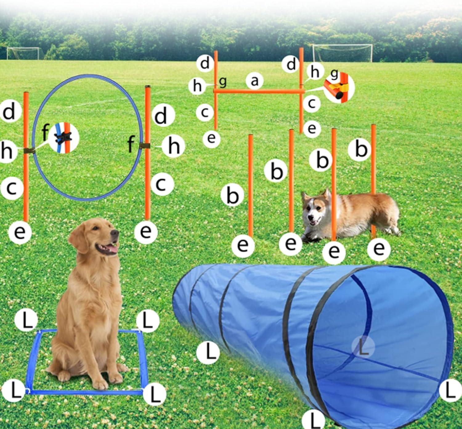 Blue Dog Agility Training Set with Tunnel and Hurdles