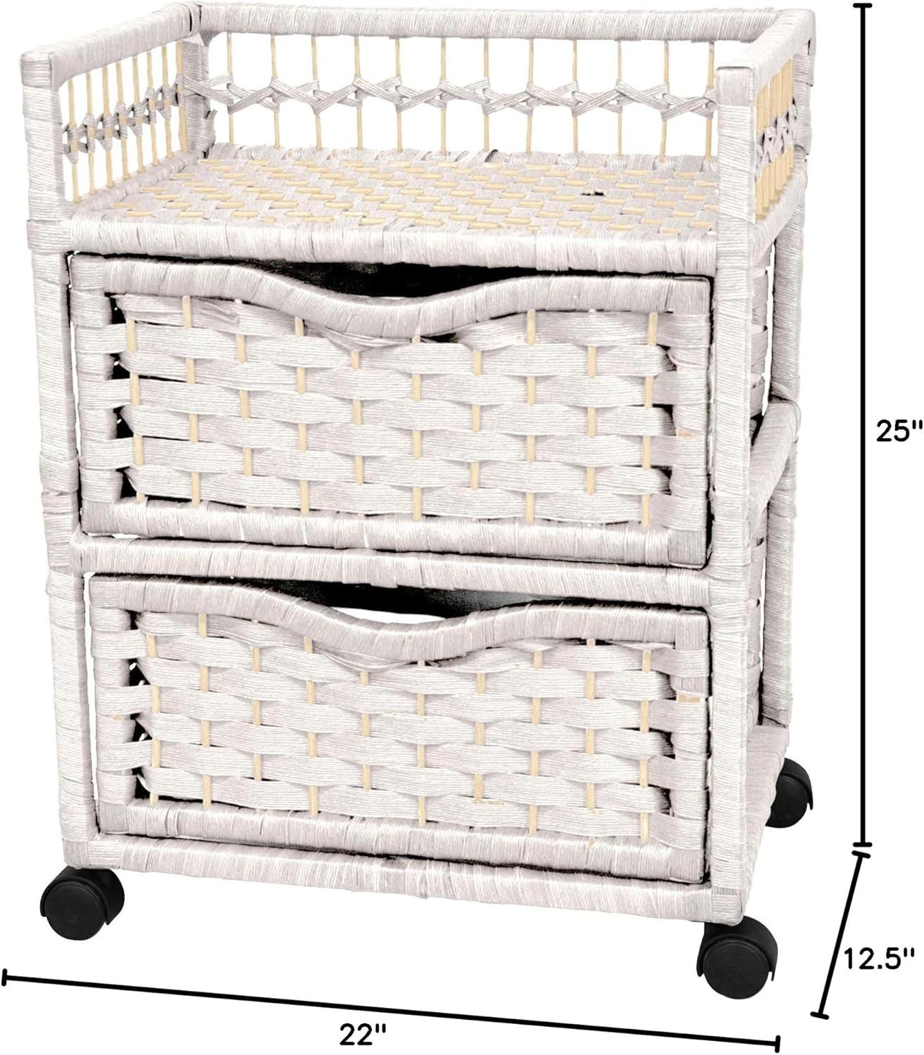 Bay Isle Home™ Aimee 2 Drawer Storage Drawer