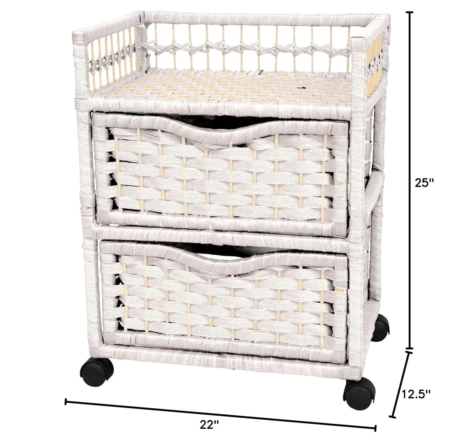 Bay Isle Home™ Aimee 2 Drawer Storage Drawer