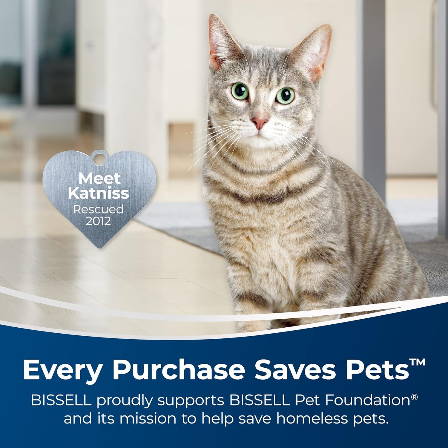 BISSELL BISSELL Simply Carpet Deep Clean Pet For Upright Carpet Cleaners 48 oz