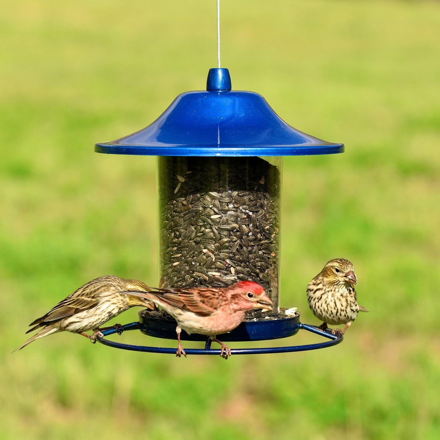 Perky-Pet Wild Bird 2 lb Metal/Plastic Panorama Bird Feeder 1 ports Model No 312R (Case of 2)