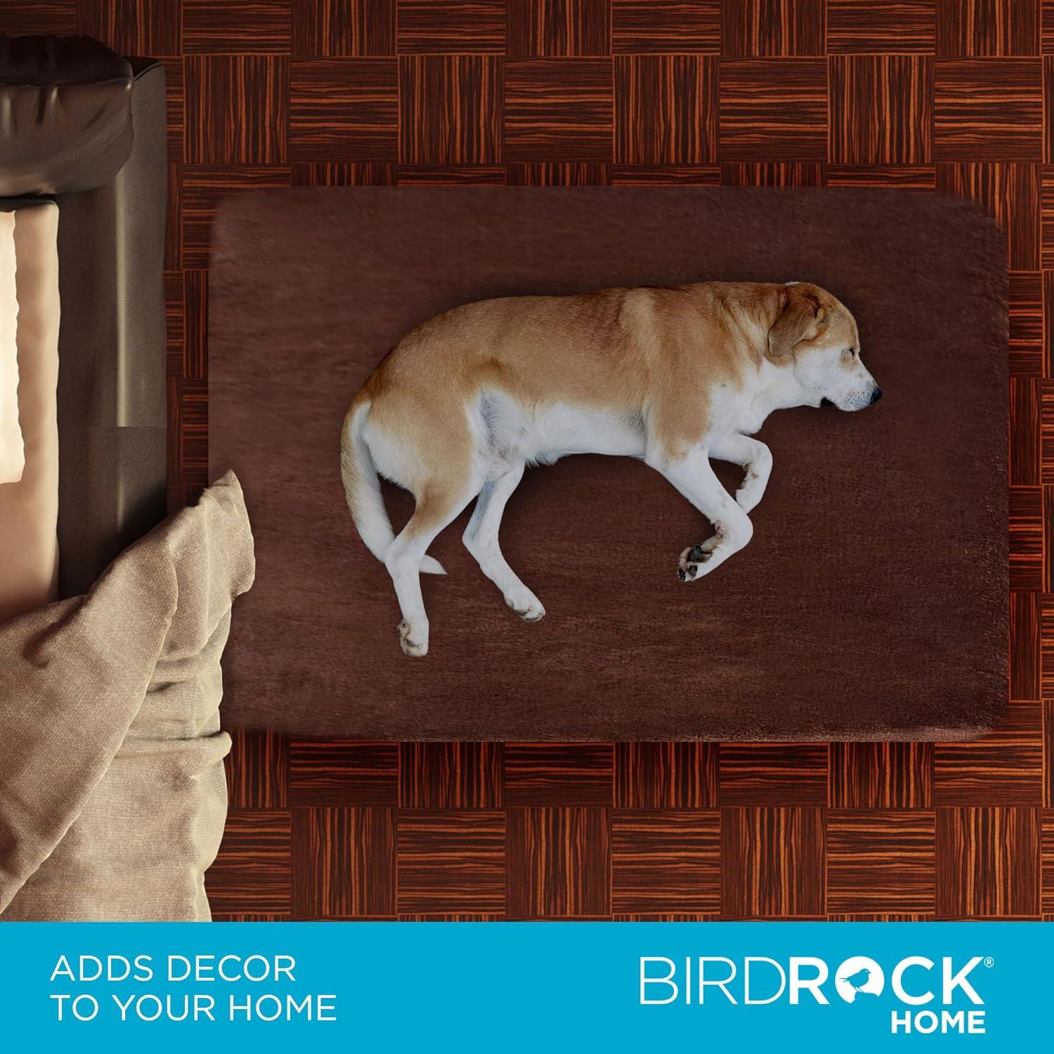 BirdRock Home Orthopedic Polyester Pet Bed