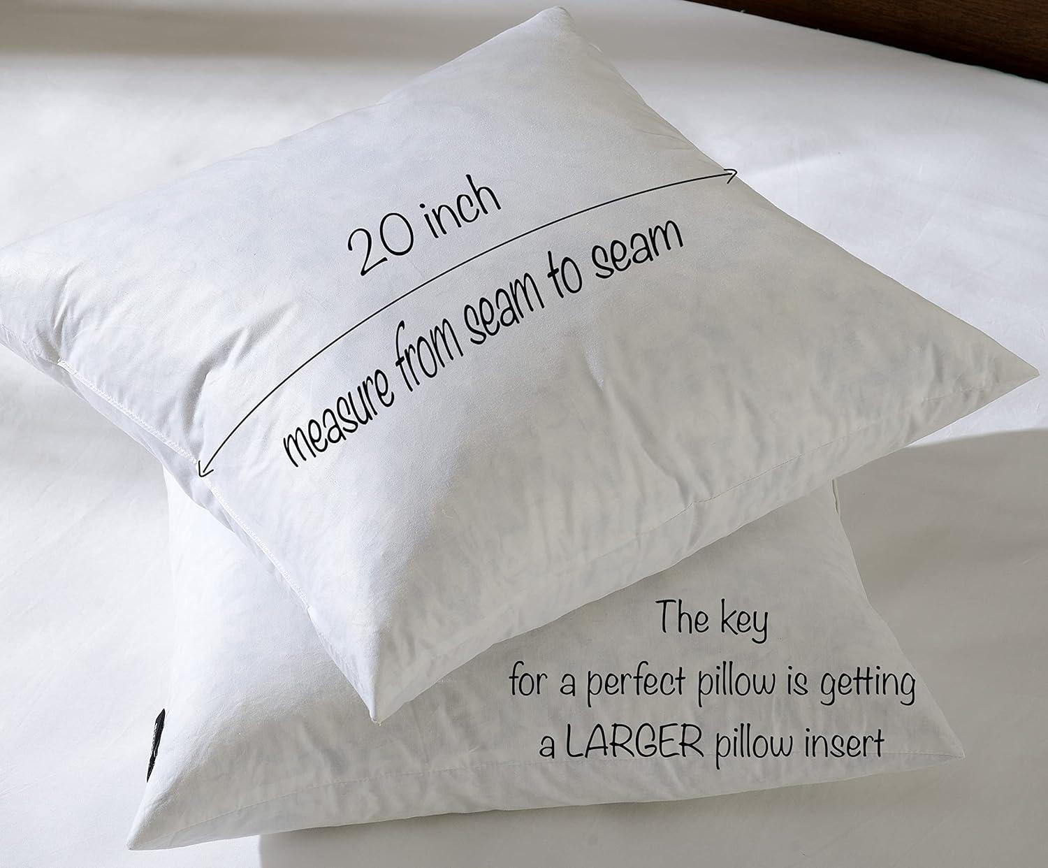 20x20 White Cotton Feather Throw Pillow Inserts, Set of 2