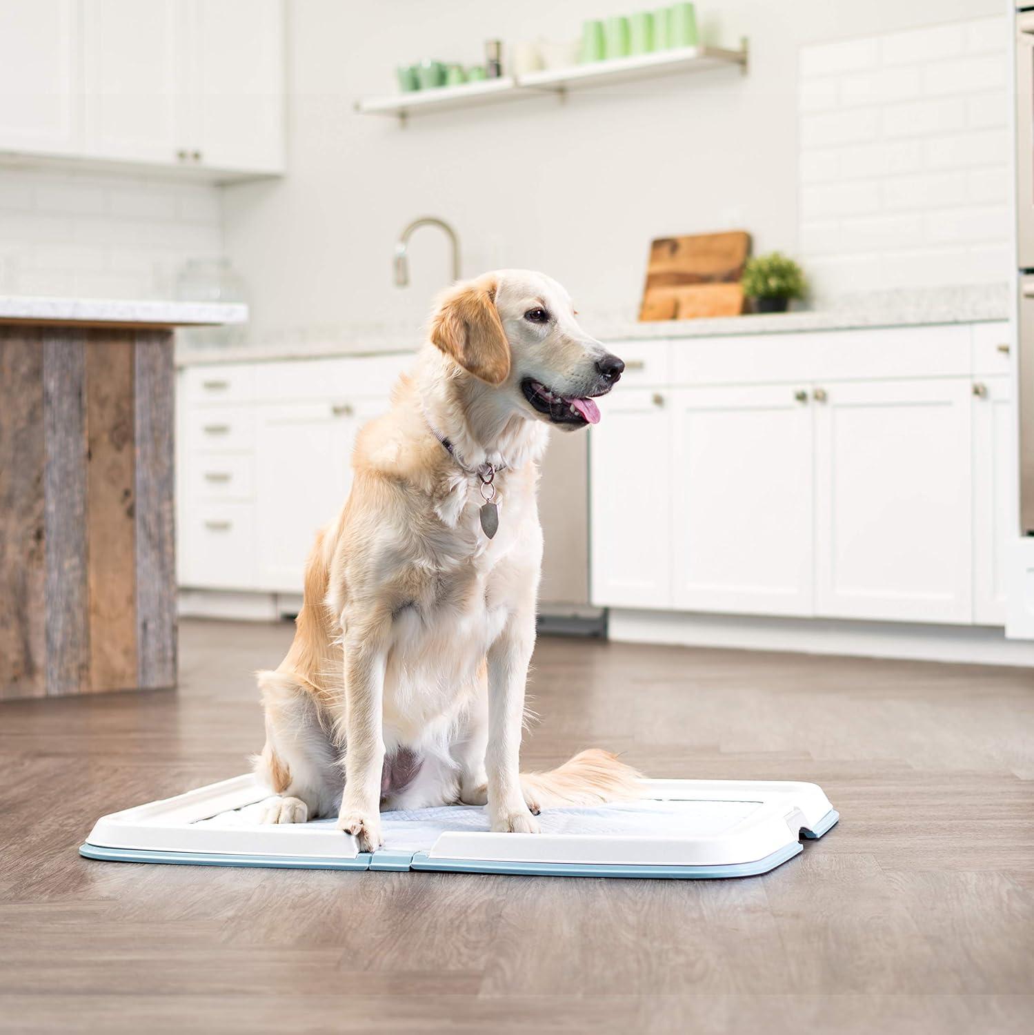 IRIS USA Pee Pad Holder - For Large Sized Dog and Puppy Pee Pads, Secured Latches, Non-Skid Feet, High Polish Finish for Easy Cleaning, Leak Protection, Fits 23"x35" Pad or Larger, Square, Blue