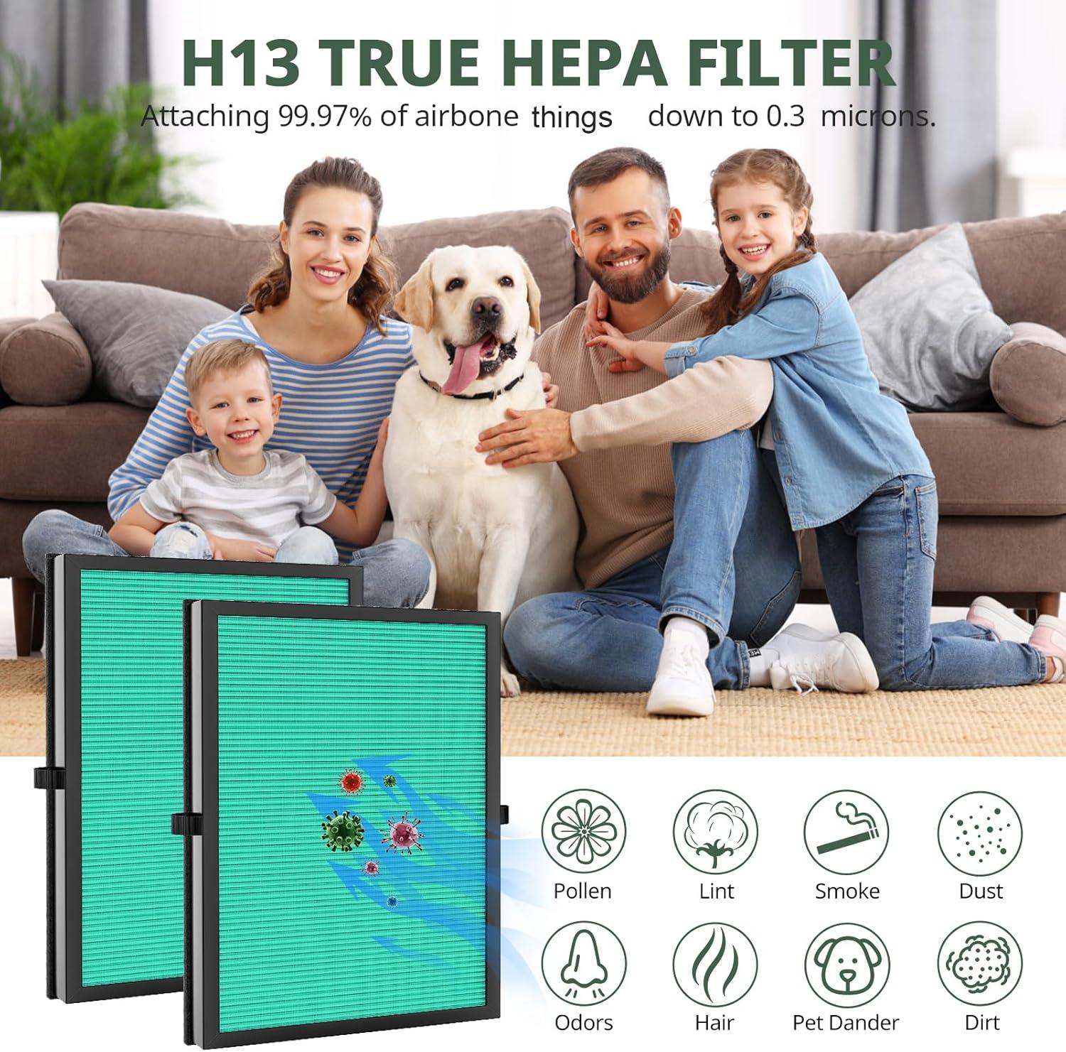 MK04 Replacement Filter, 2 Pack Compatible with MK04 MG04JH Air Purifier, Air Filter H13 True HEPA Filter for Dust, Pet Dander, Smoke for Bedroom, Home, Office (Green)