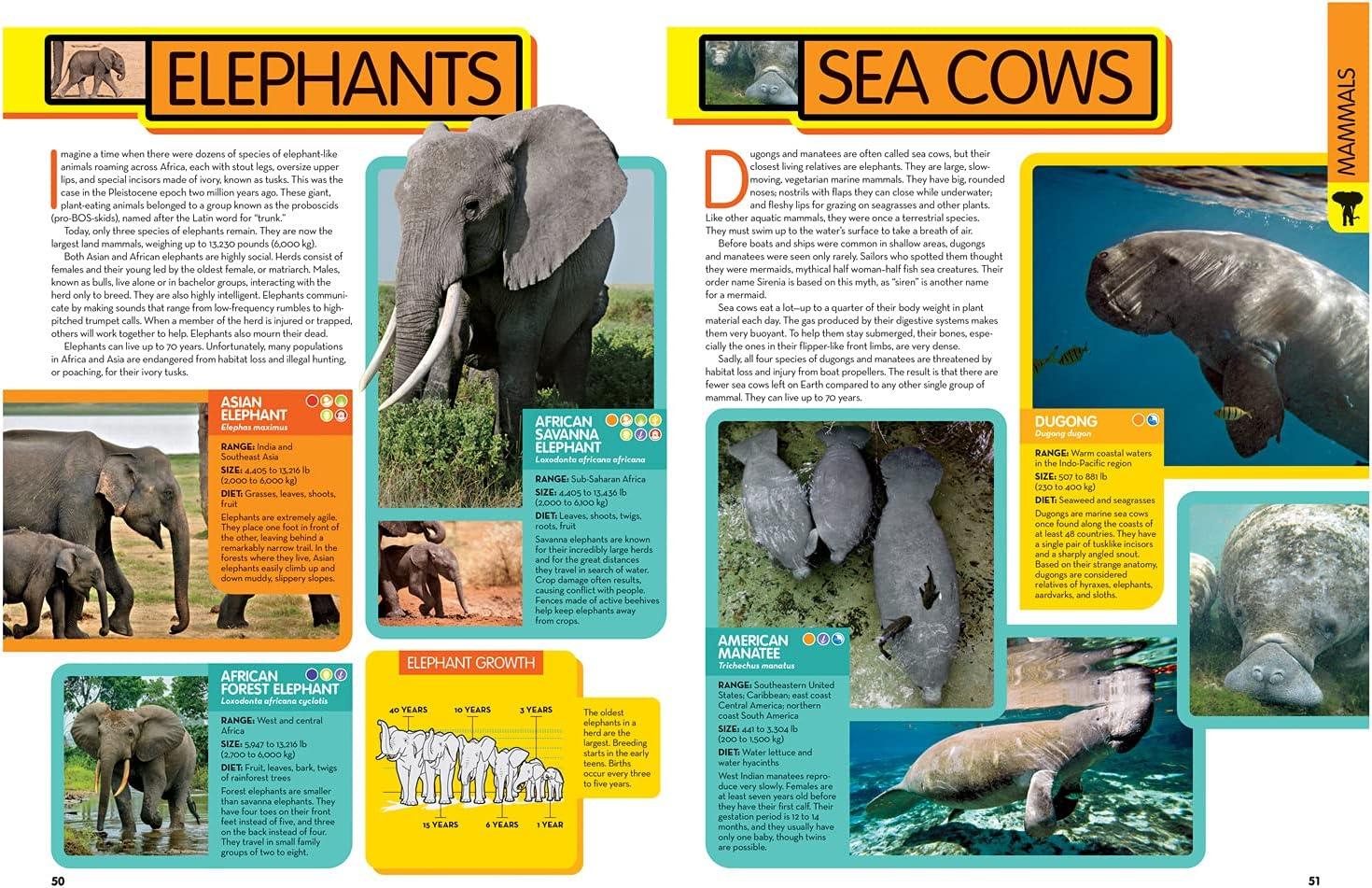 National Geographic Kids Animal Encyclopedia, 2nd Edition - (Hardcover)