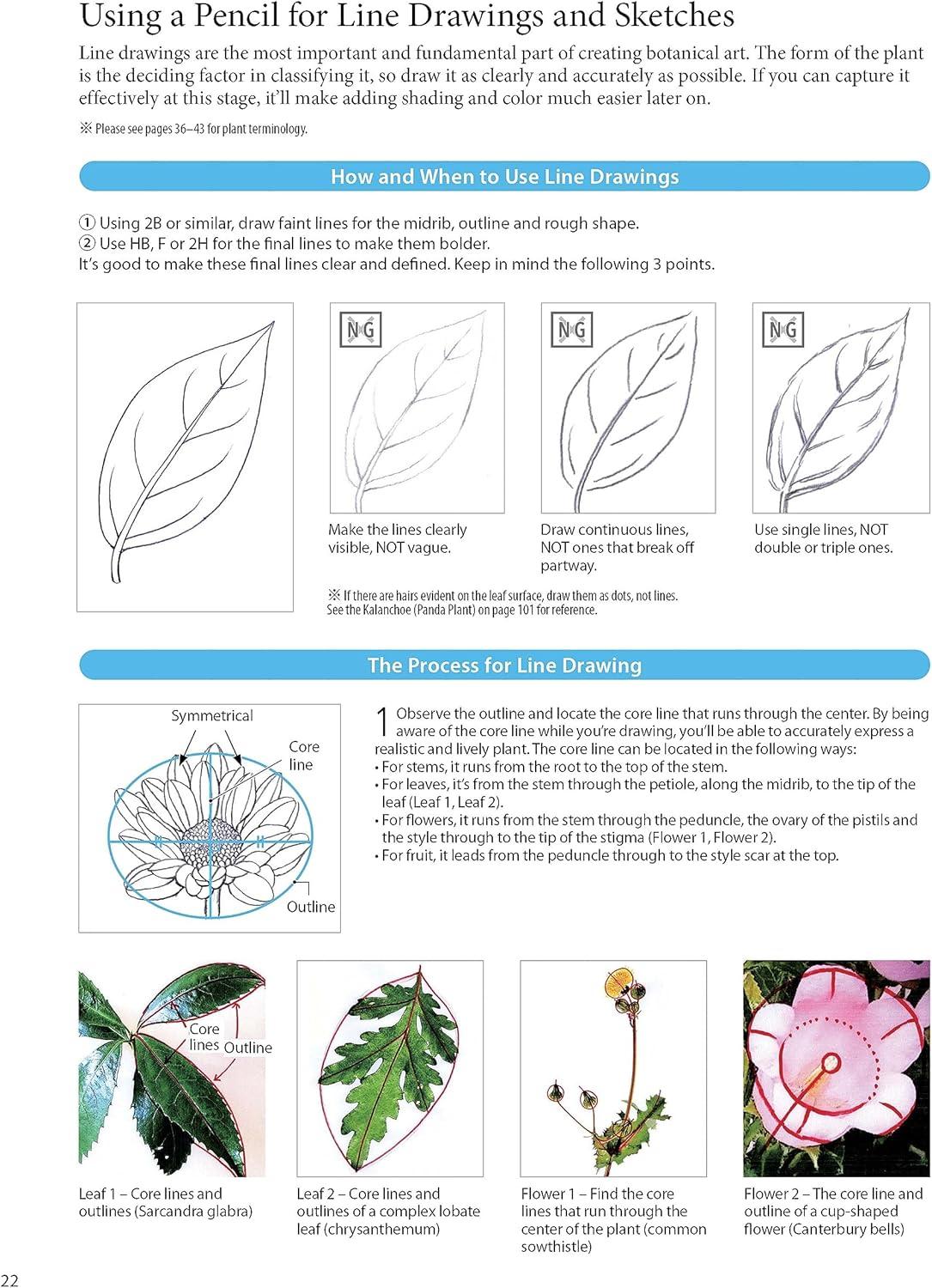 A Step-By-Step Guide to Botanical Drawing & Painting - by  Hidenari Kobayashi (Paperback)