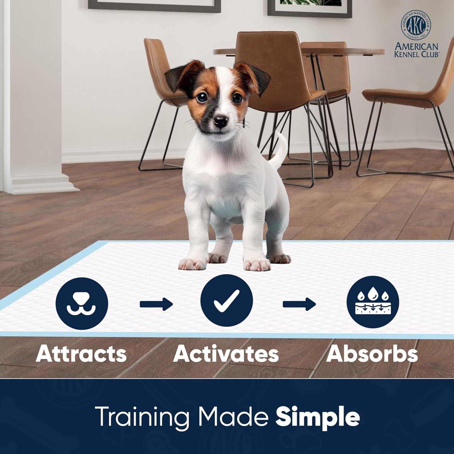 American Kennel Club Scented Puppy Training Pads with Ultra Absorbent Quick Dry Gel – 22 x 22 Puppy Pads - Fresh Scented - 50 Count