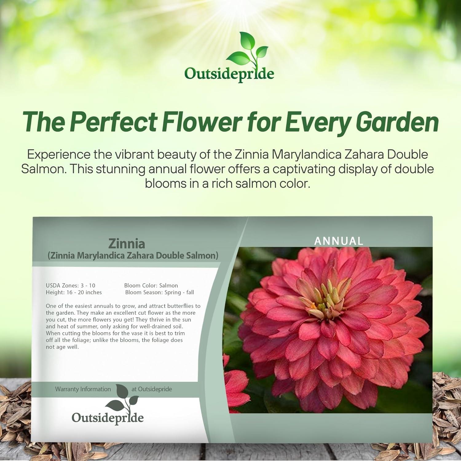 Zahara Double Salmon Zinnia Seeds for Vibrant Outdoor Gardens