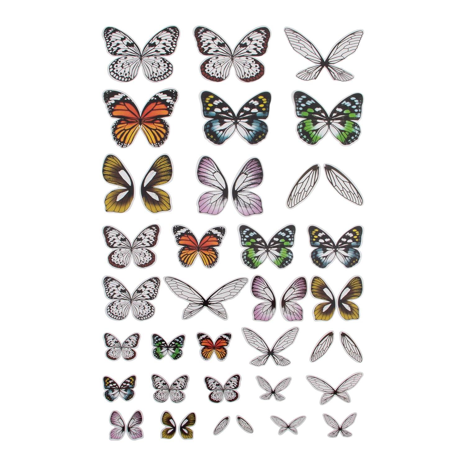 Set of 72 Multicolor Transparent Acetate Butterfly and Dragonfly Wings