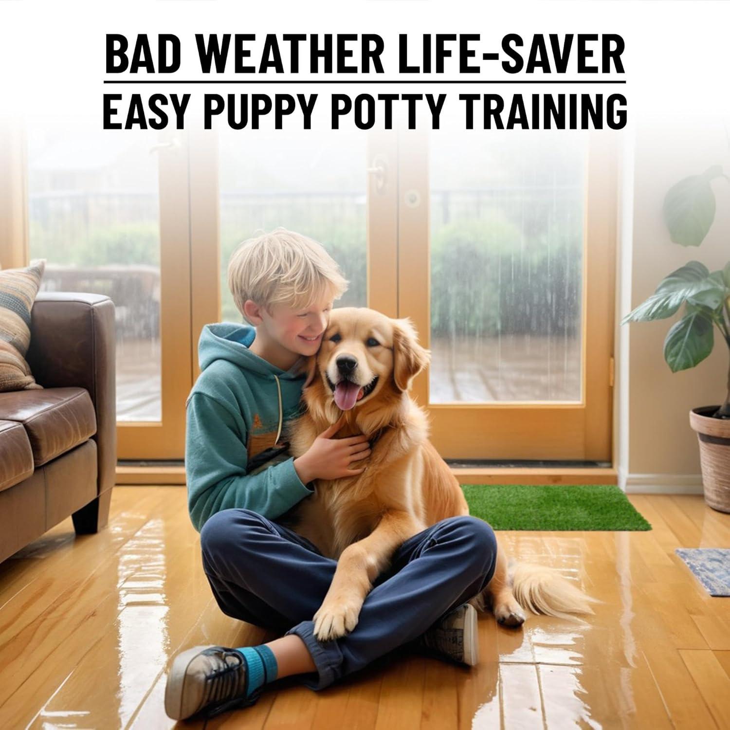 Ottomanson Pet Training Non-Slip Indoor/Outdoor Tray with Reusable Grass Pad