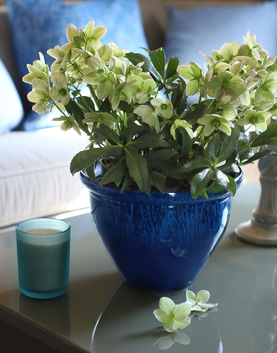 The HC Companies Pizzazz Decorative Round Flower Pots w/Ceramic Look - UV-Resistant Decorative Pot for Outdoor & Indoor Plant Pots - Modern Planter for Flower, Herbs (20” Admiral Blue, Pack of 1)