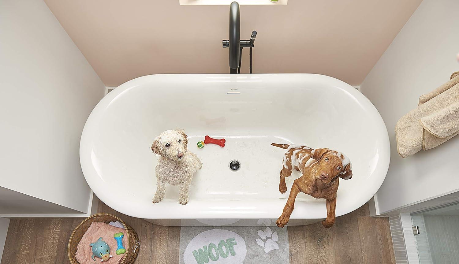 1 Handle Floor Tub Filler with Diverter