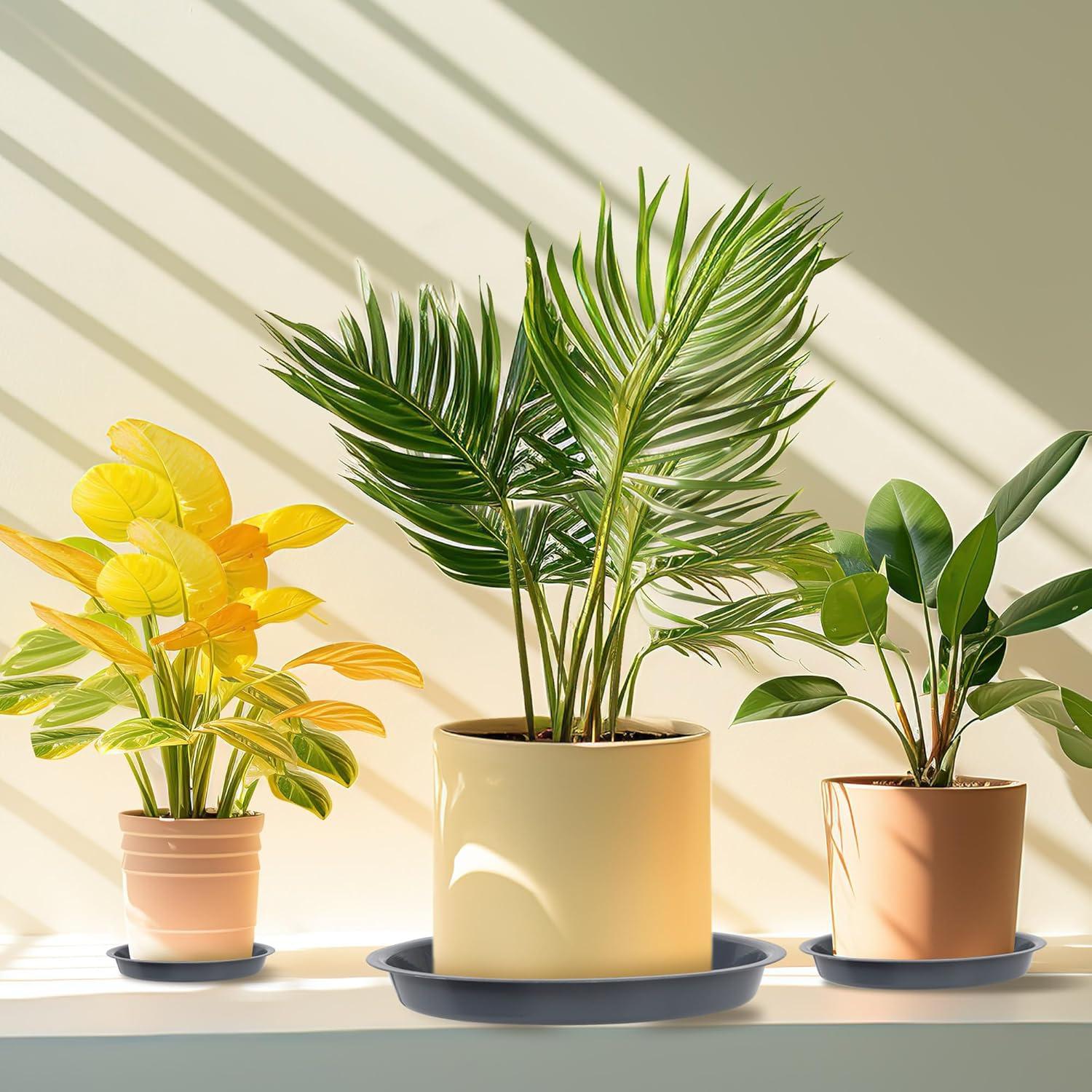 Tripumer 12Pack Plant Saucers 6inch/8inch/10inch Black Plant Saucers Plastic Planter Trays Round Trays Heavy Duty Drip Trays Perfect for Indoor and Outdoor Plants