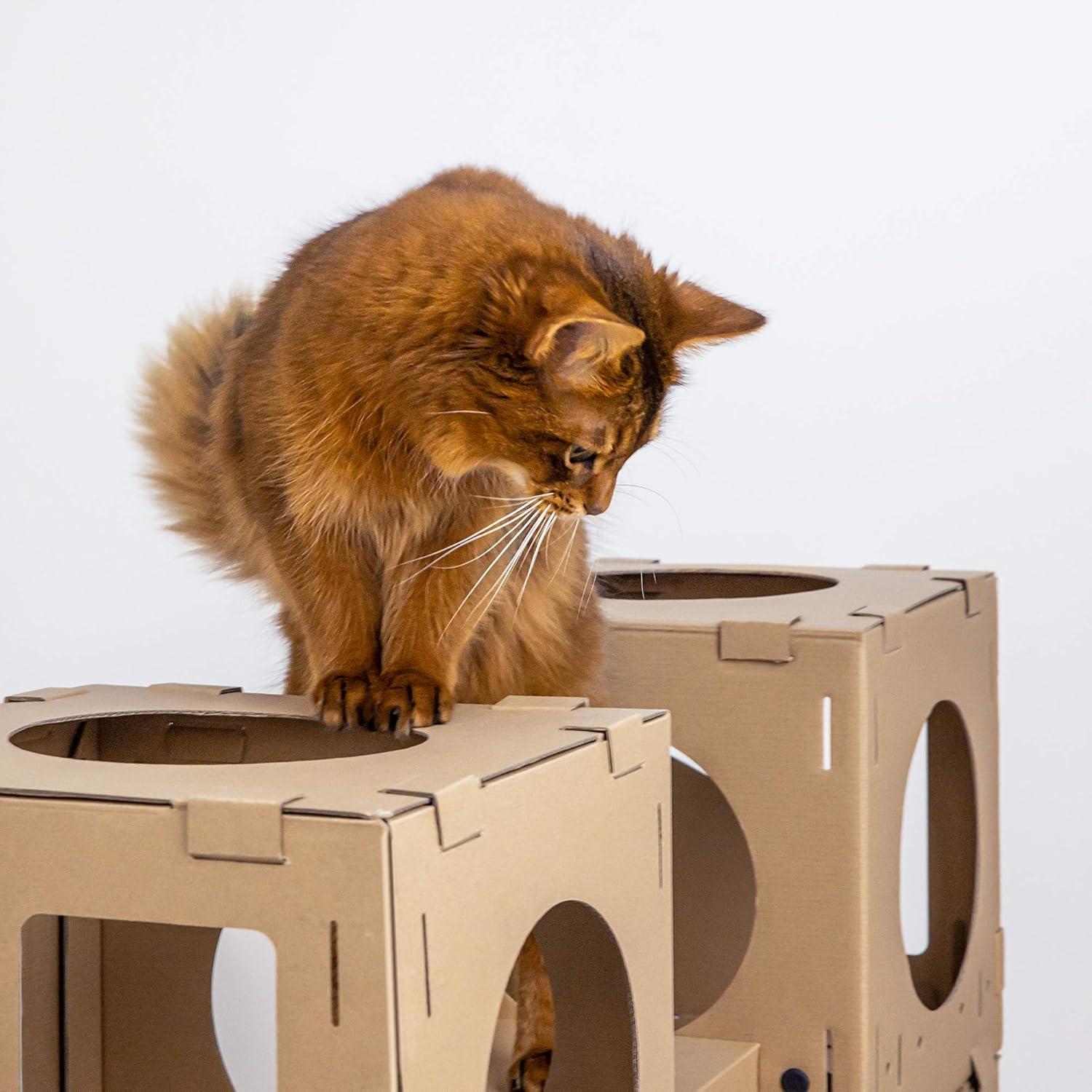 Navaris Modular Cardboard Cat House - DIY Corrugated Cardboard Configurable Play Tower Condo for Small Cats, Kittens, Rabbits - 4 Cubes with 2 Bridges