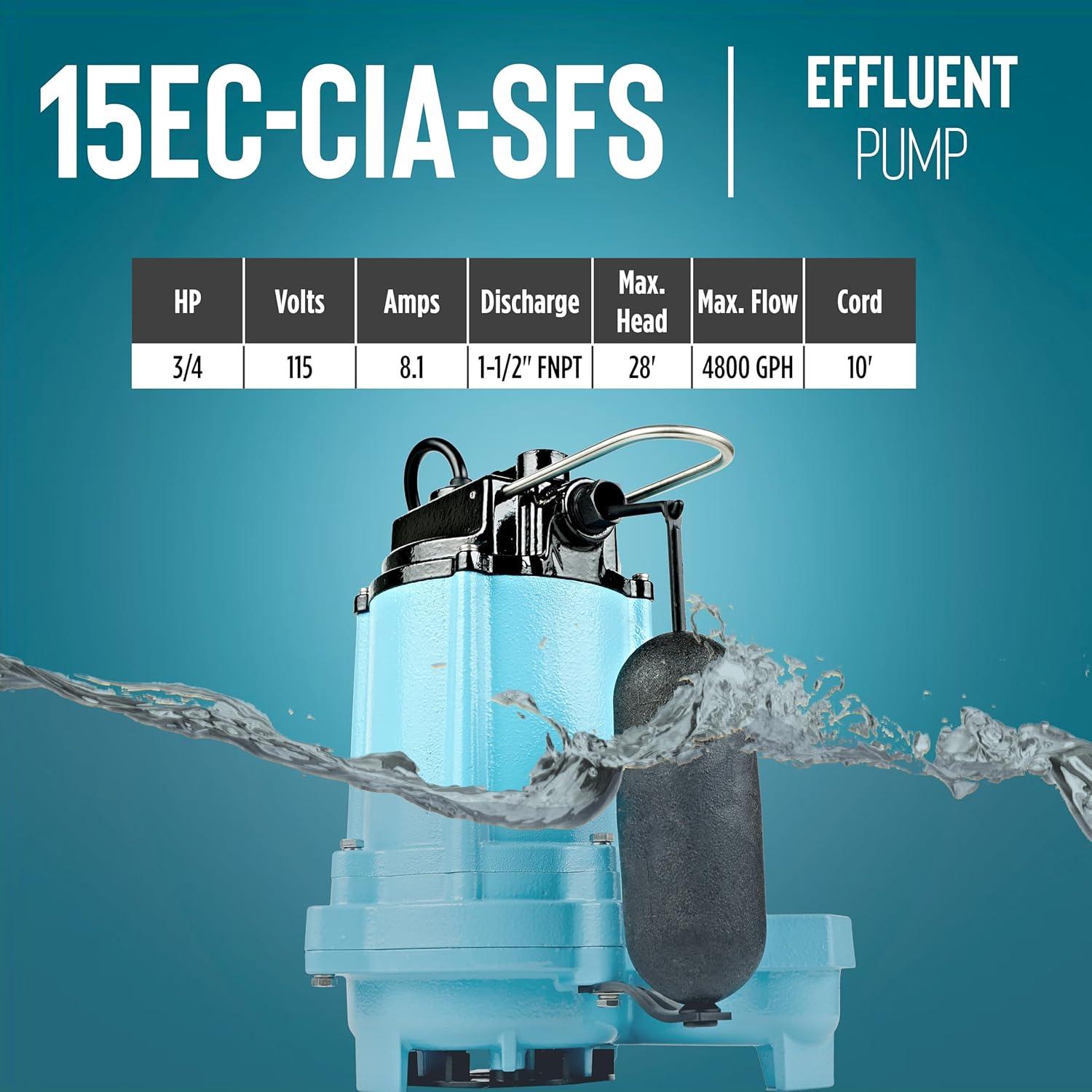 Blue Cast Iron 3/4 HP Effluent Sump Pump with Float Switch