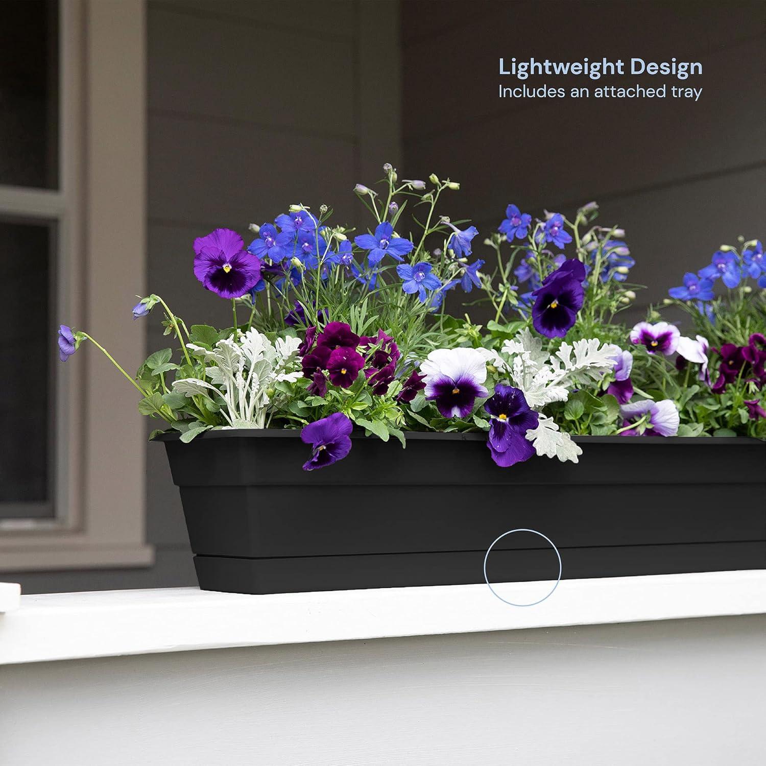 Bloem 30-in Wide Dura Cotta Resin Window Box Planter - Black