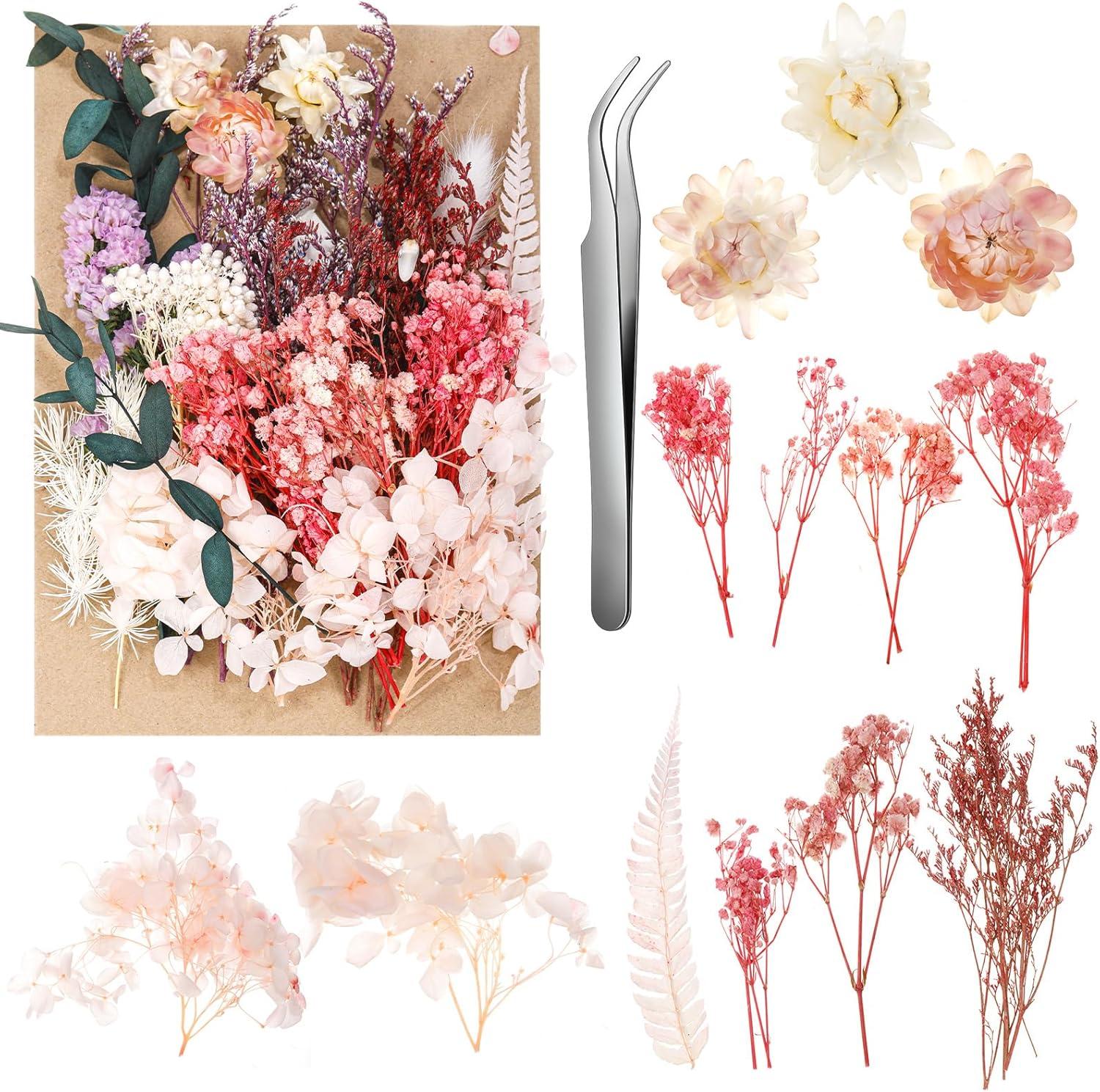 Yoloke DIY Dried Flowers Craft Kit - Natural Assorted Dried Florals for Making Everlasting Valentine's Day Gifts, Unique Design, Perfect for Framing & Creative Decor